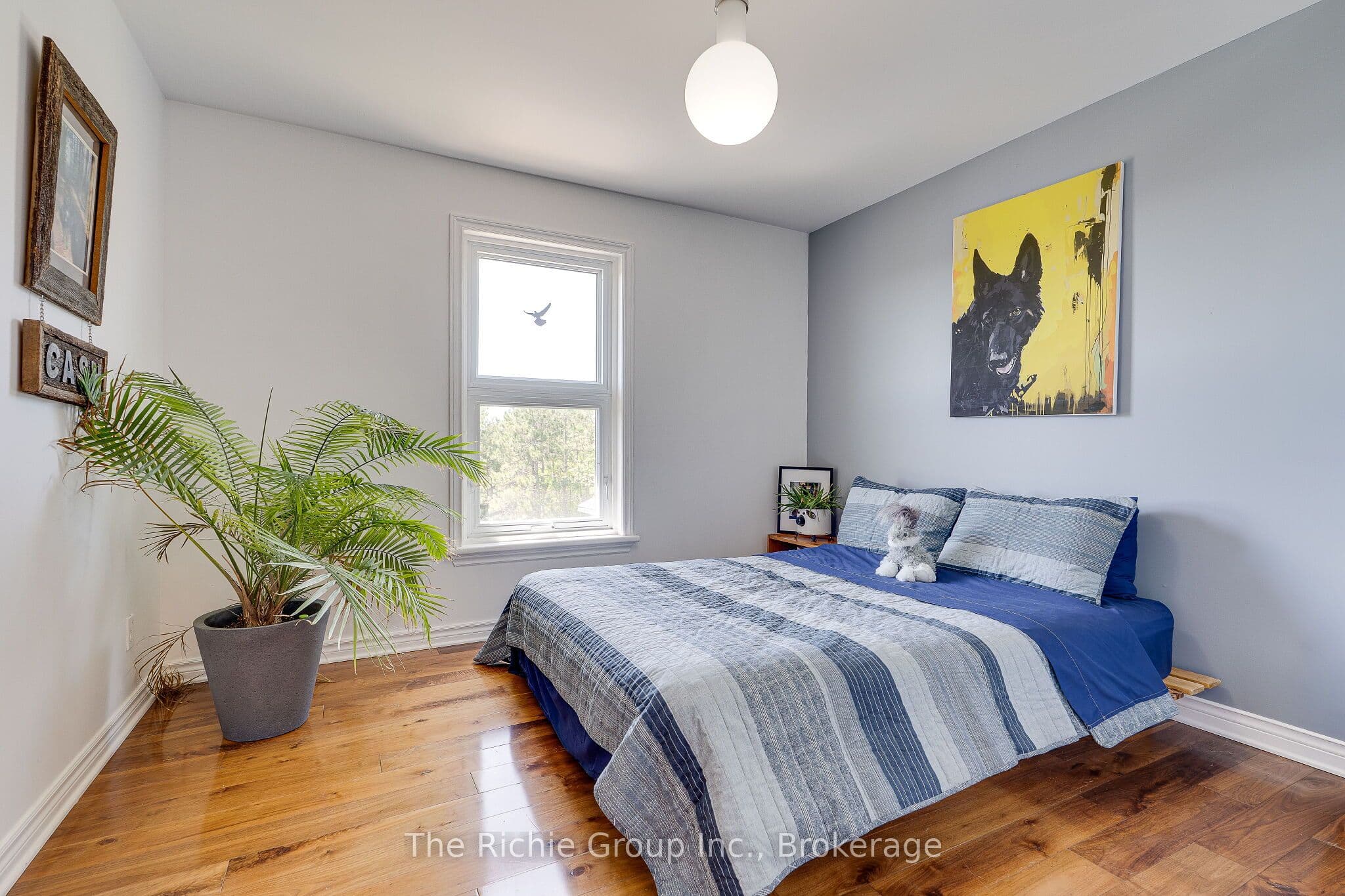 Listing 312772 Image