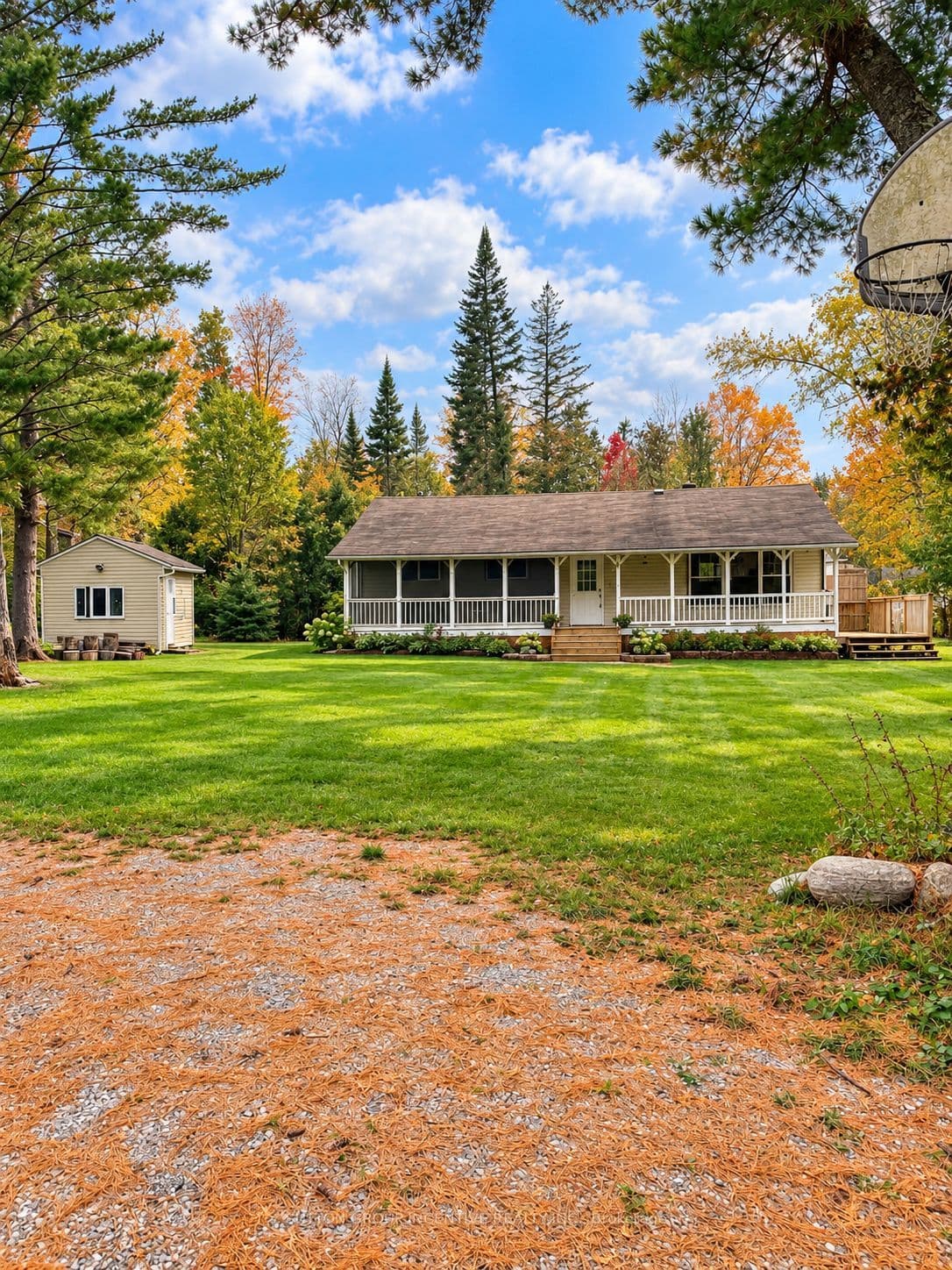 Main Property
