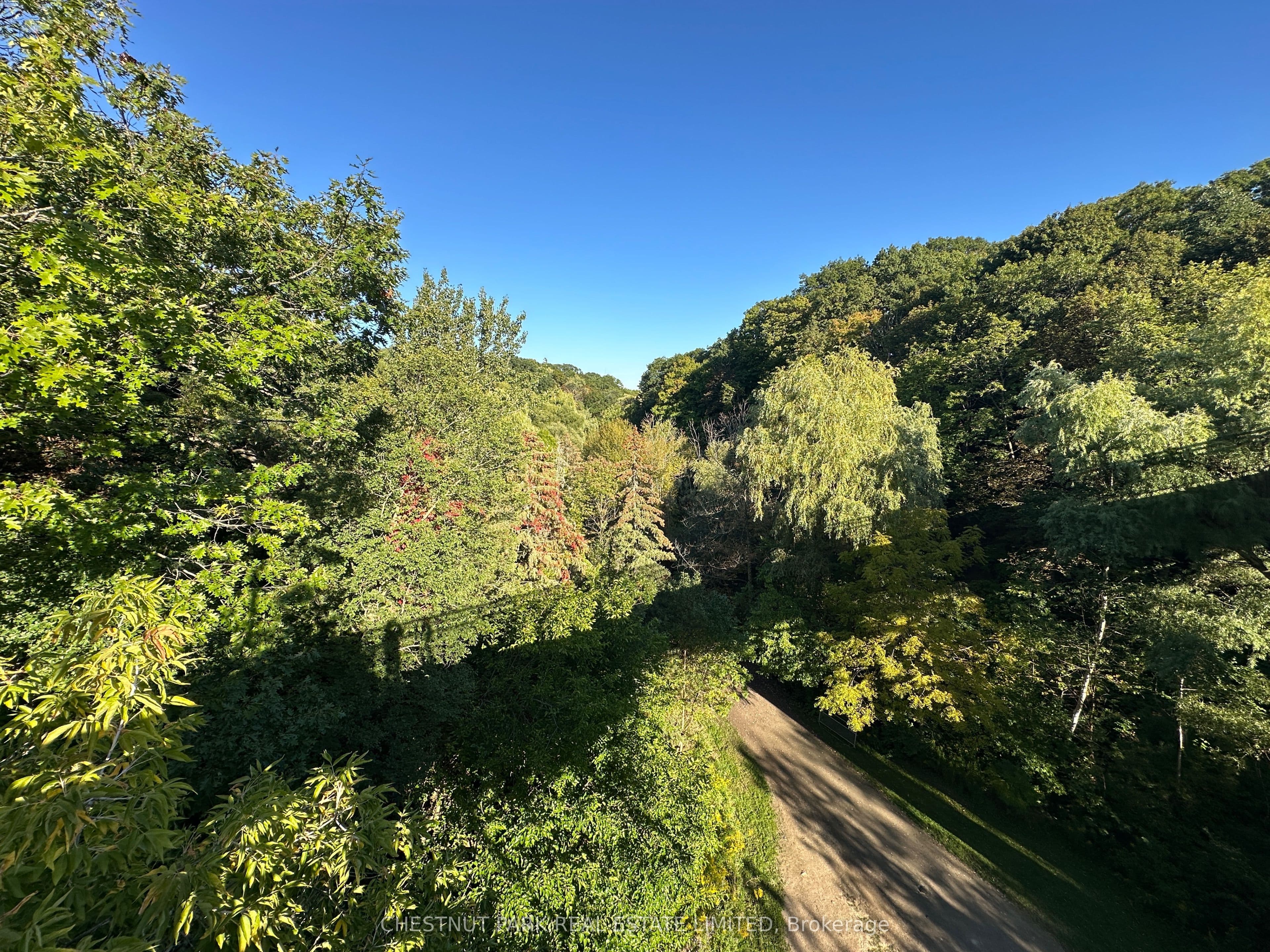Listing 311565 Image