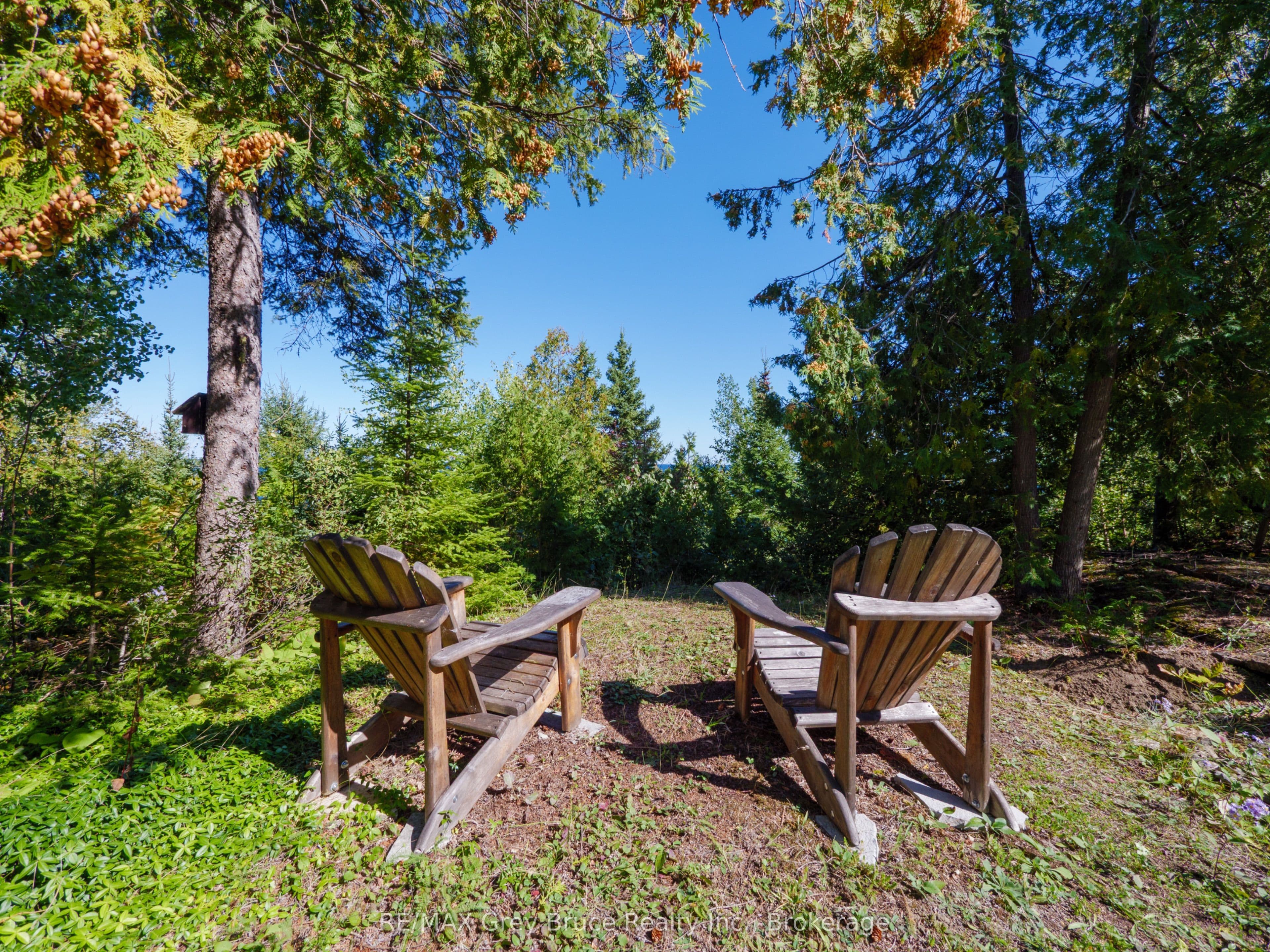 Listing 330878 Image