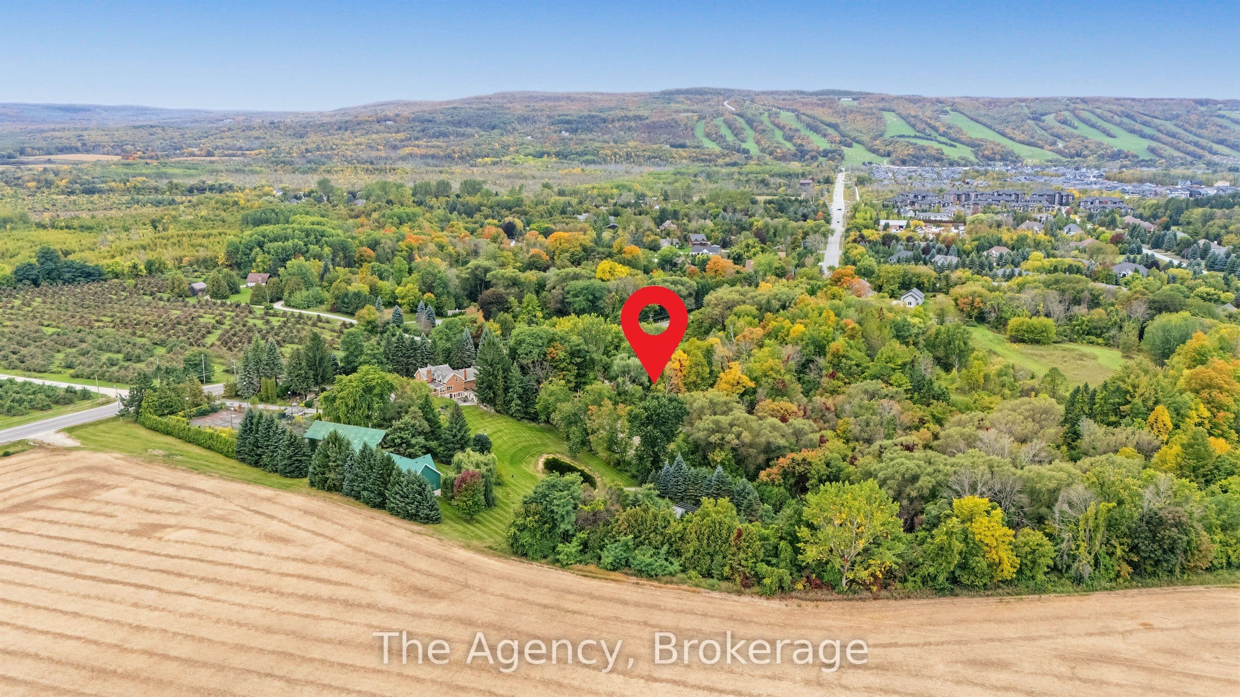 Listing 353858 Image