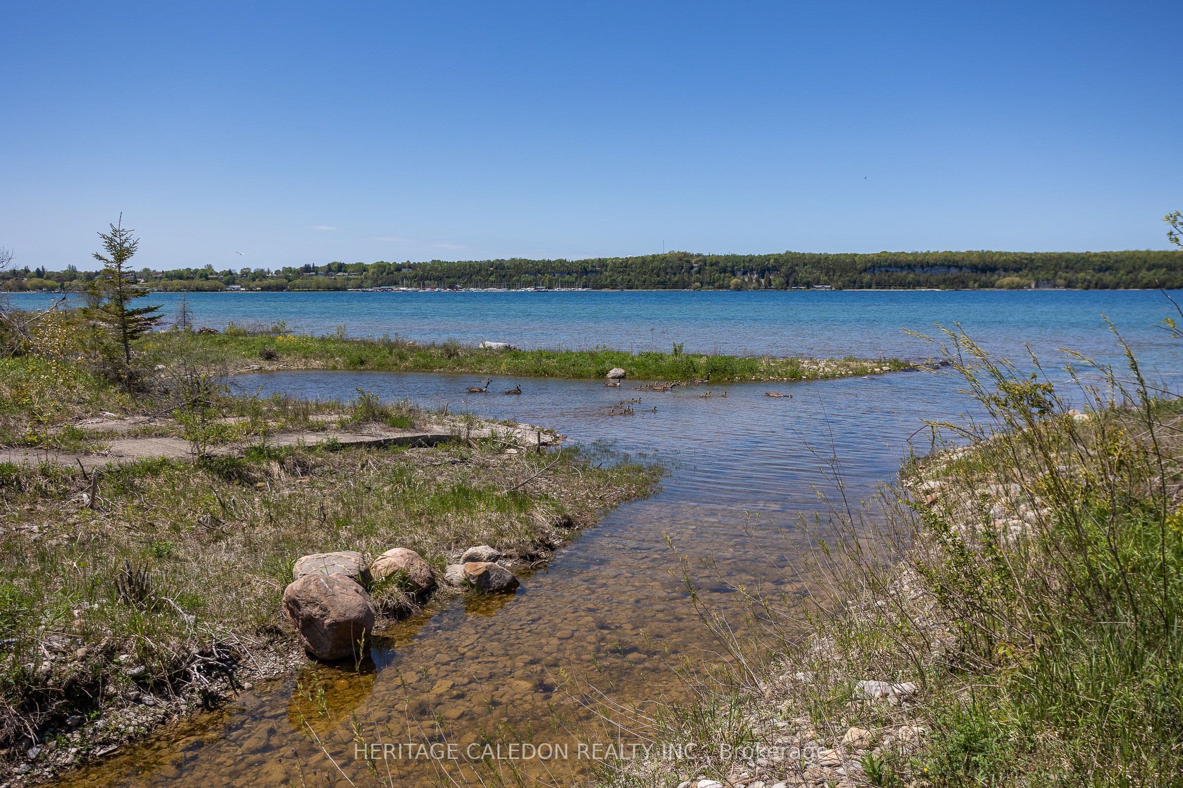 Listing 317955 Image