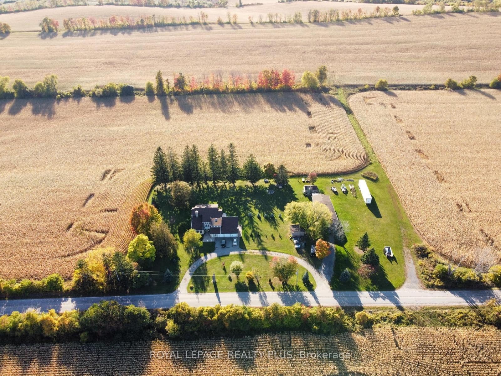 Listing 333739 Image