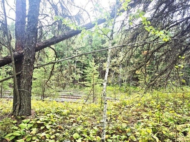Listing 323307 Image