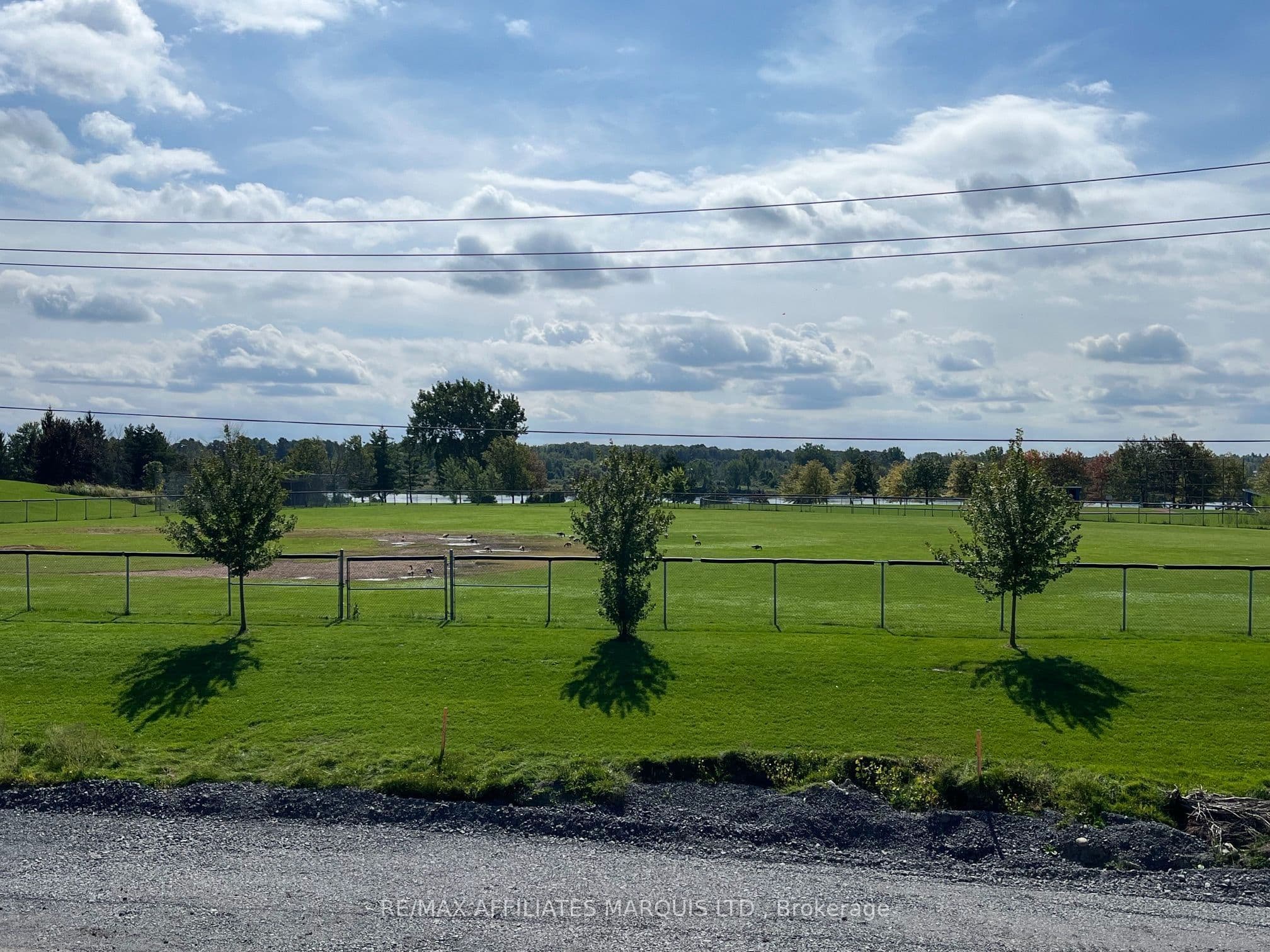 Listing 316613 Image