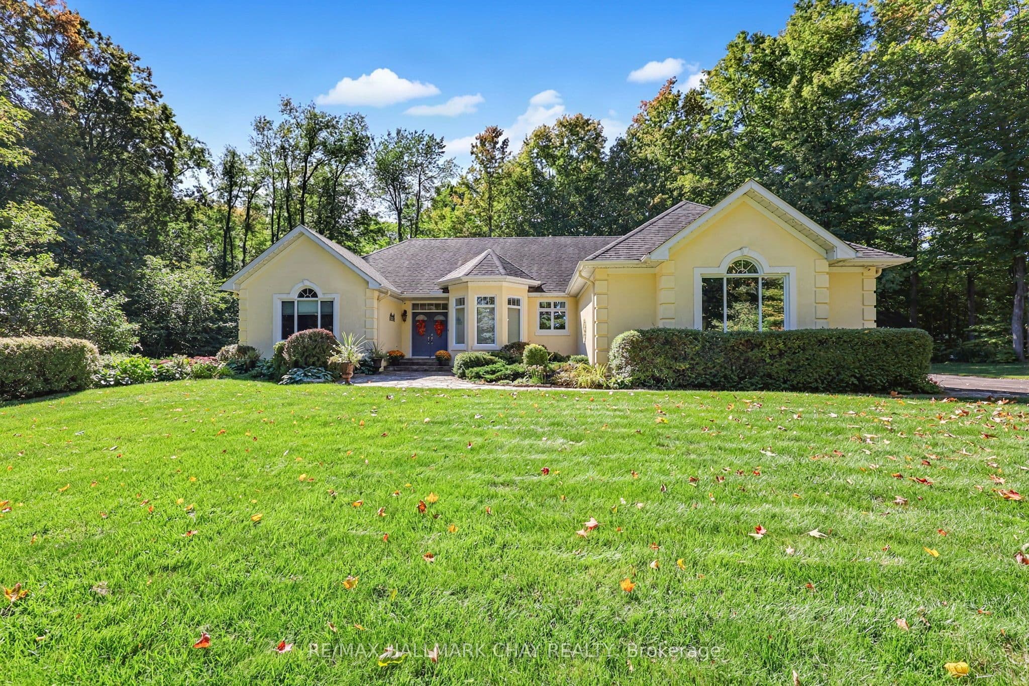 Main Property