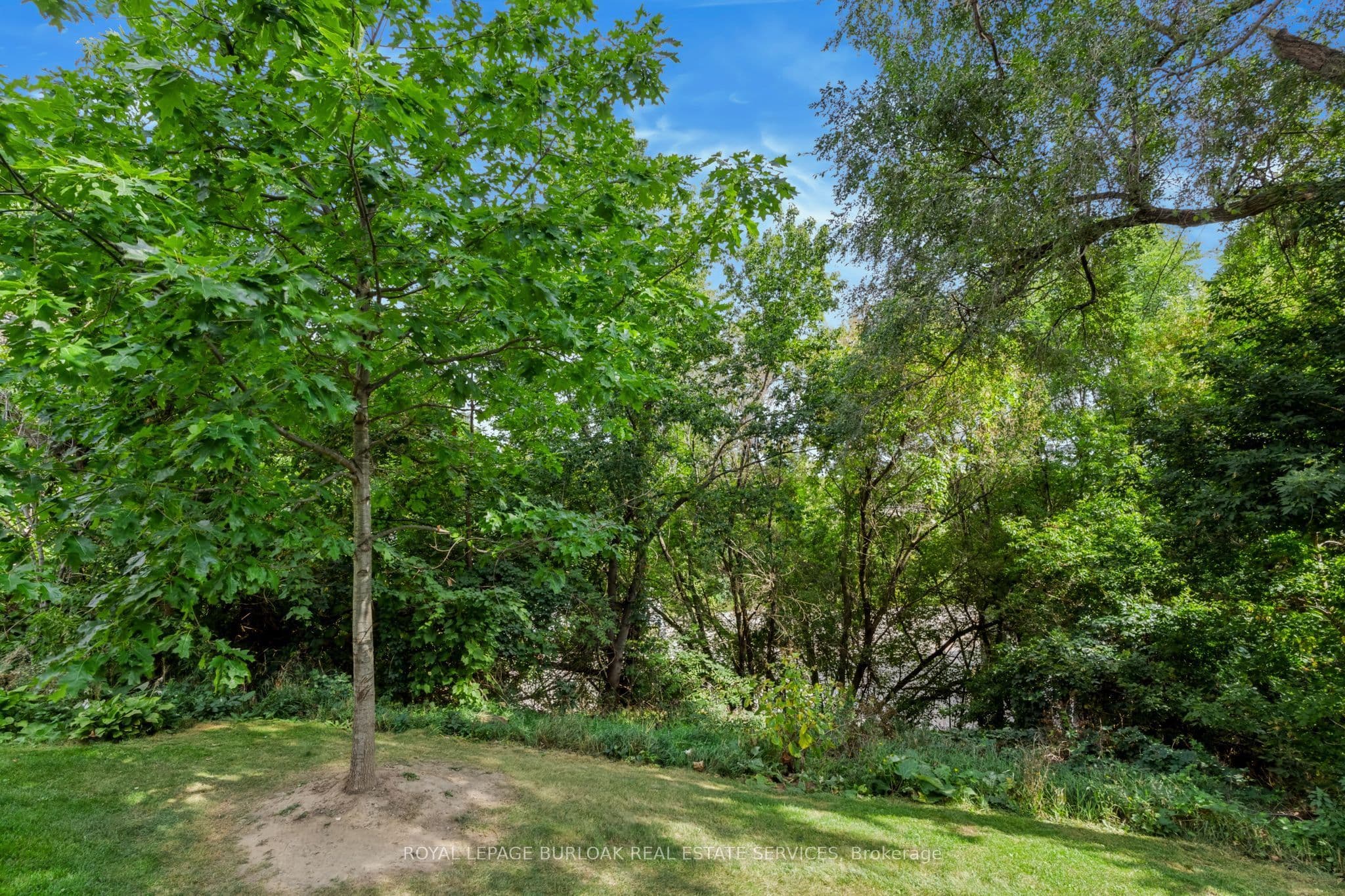 Listing 317500 Image