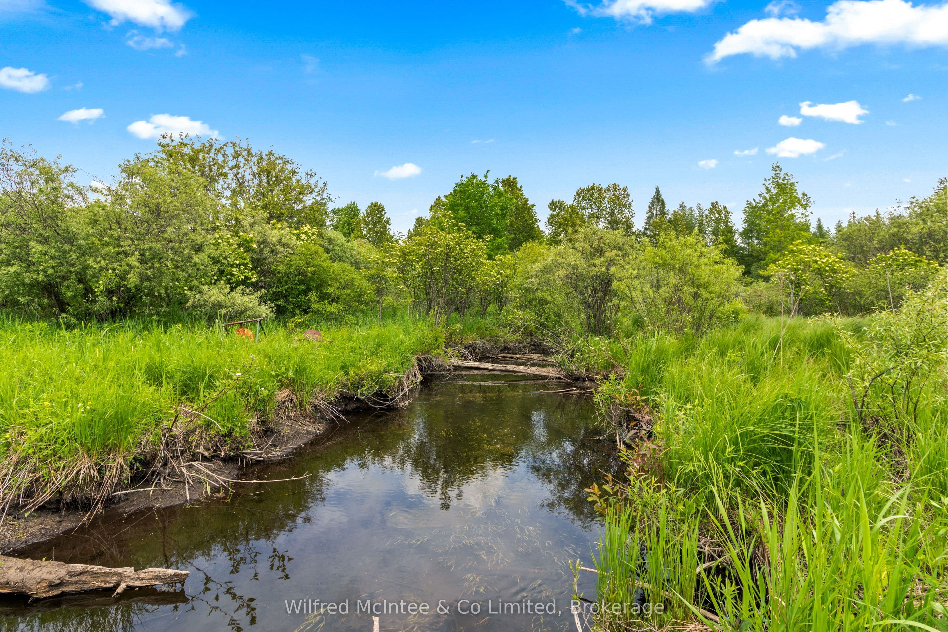 Listing 315912 Image