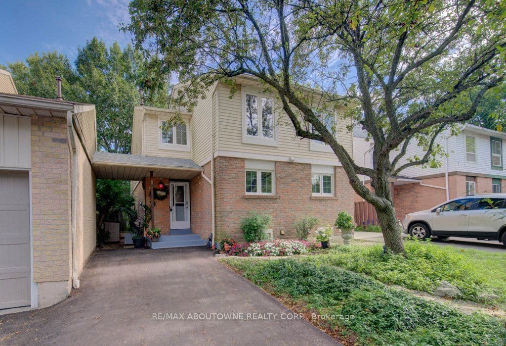 Listing 318596 Image