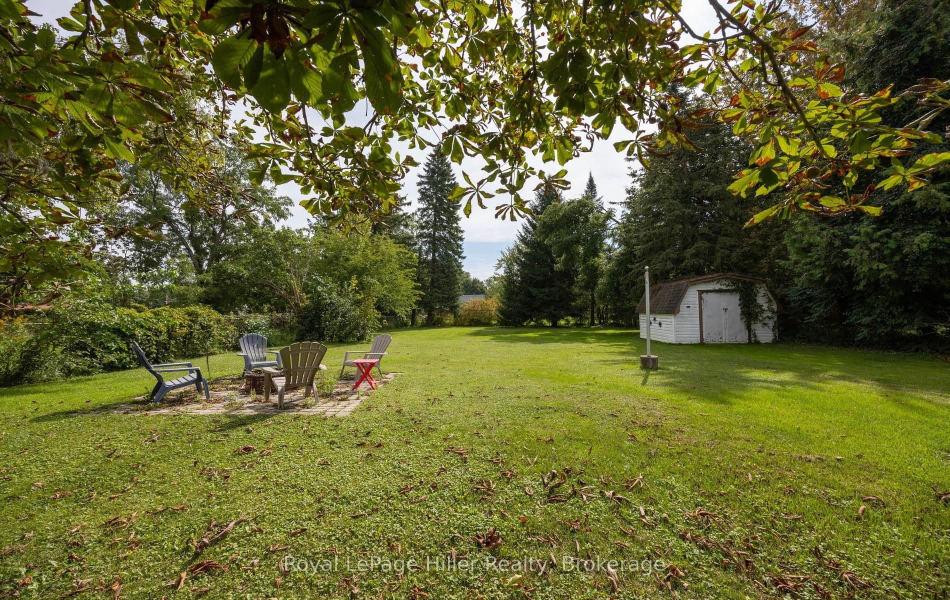 Listing 317615 Image