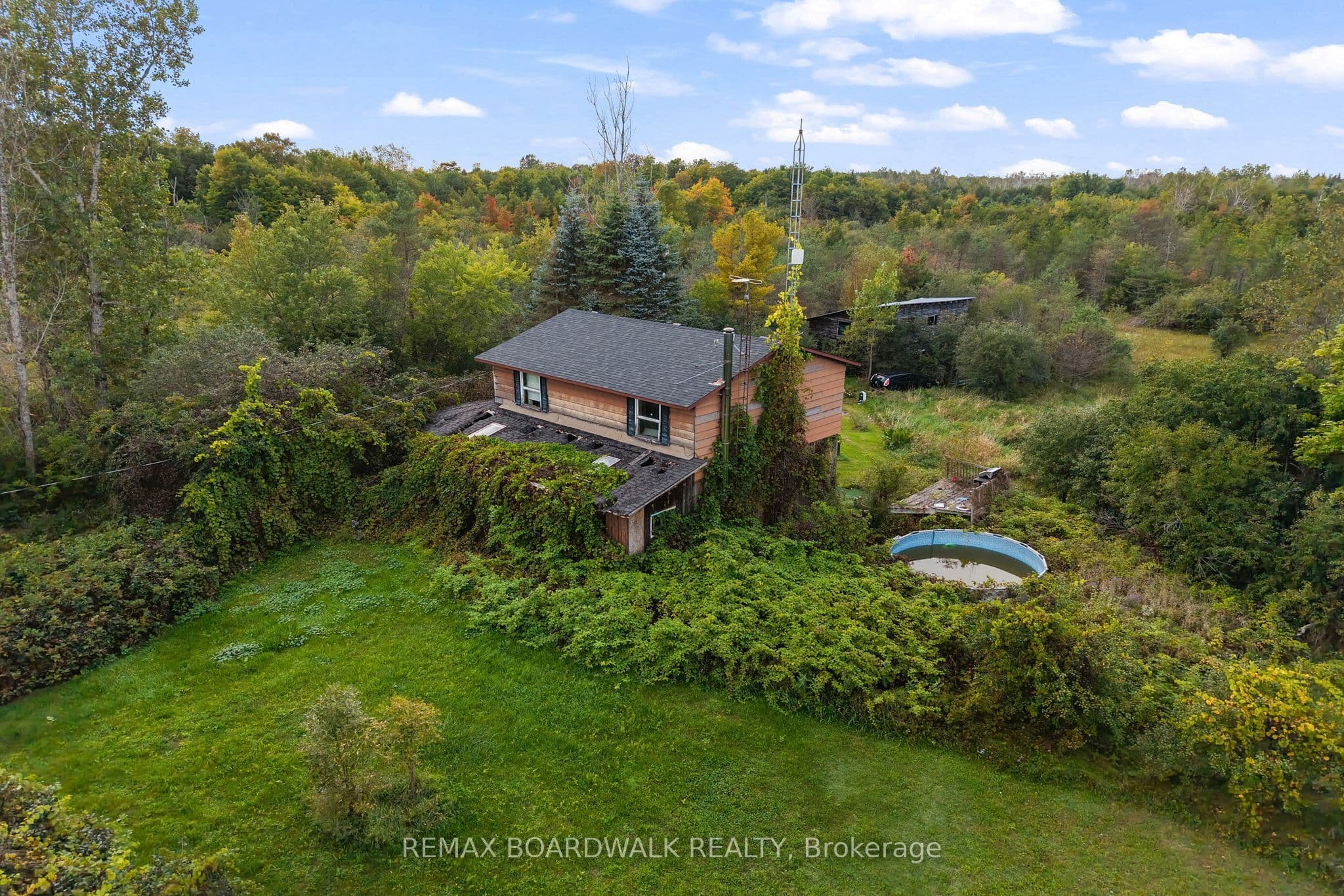 Listing 319296 Image