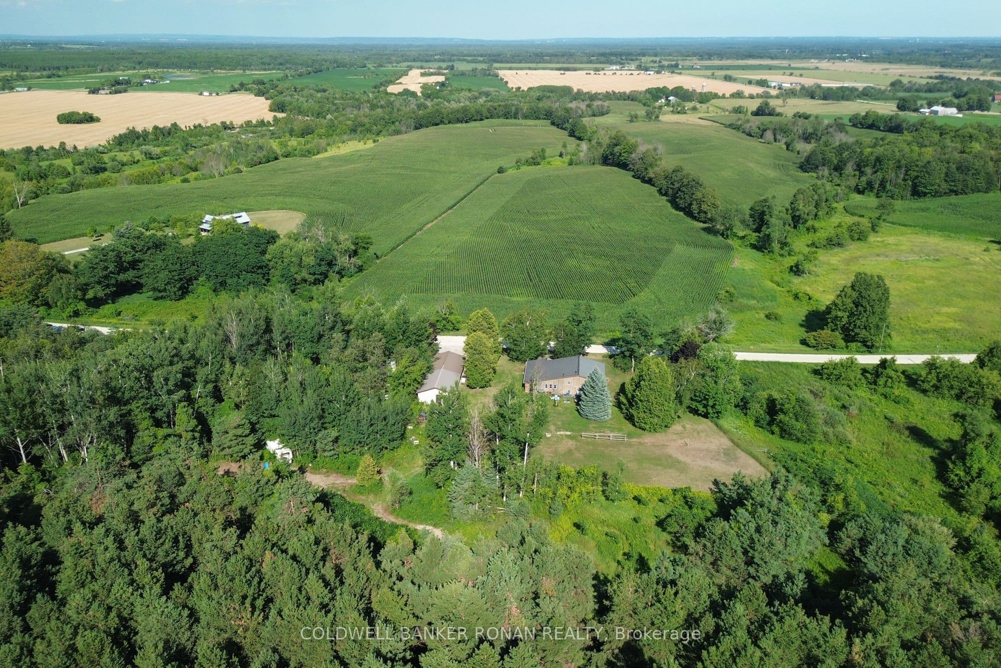 Listing 318469 Image