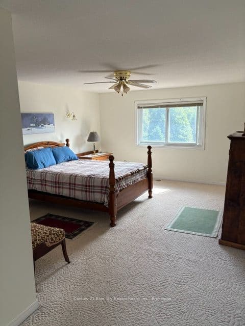 Listing 318659 Image