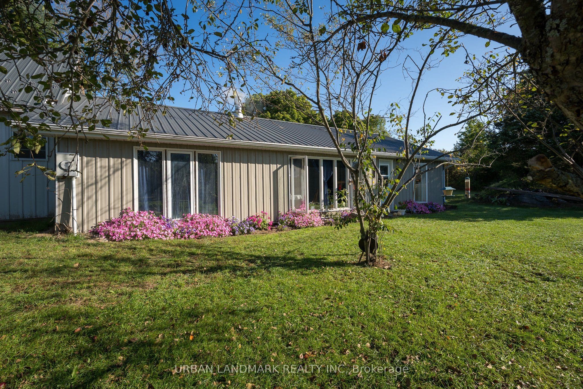 Listing 318496 Image