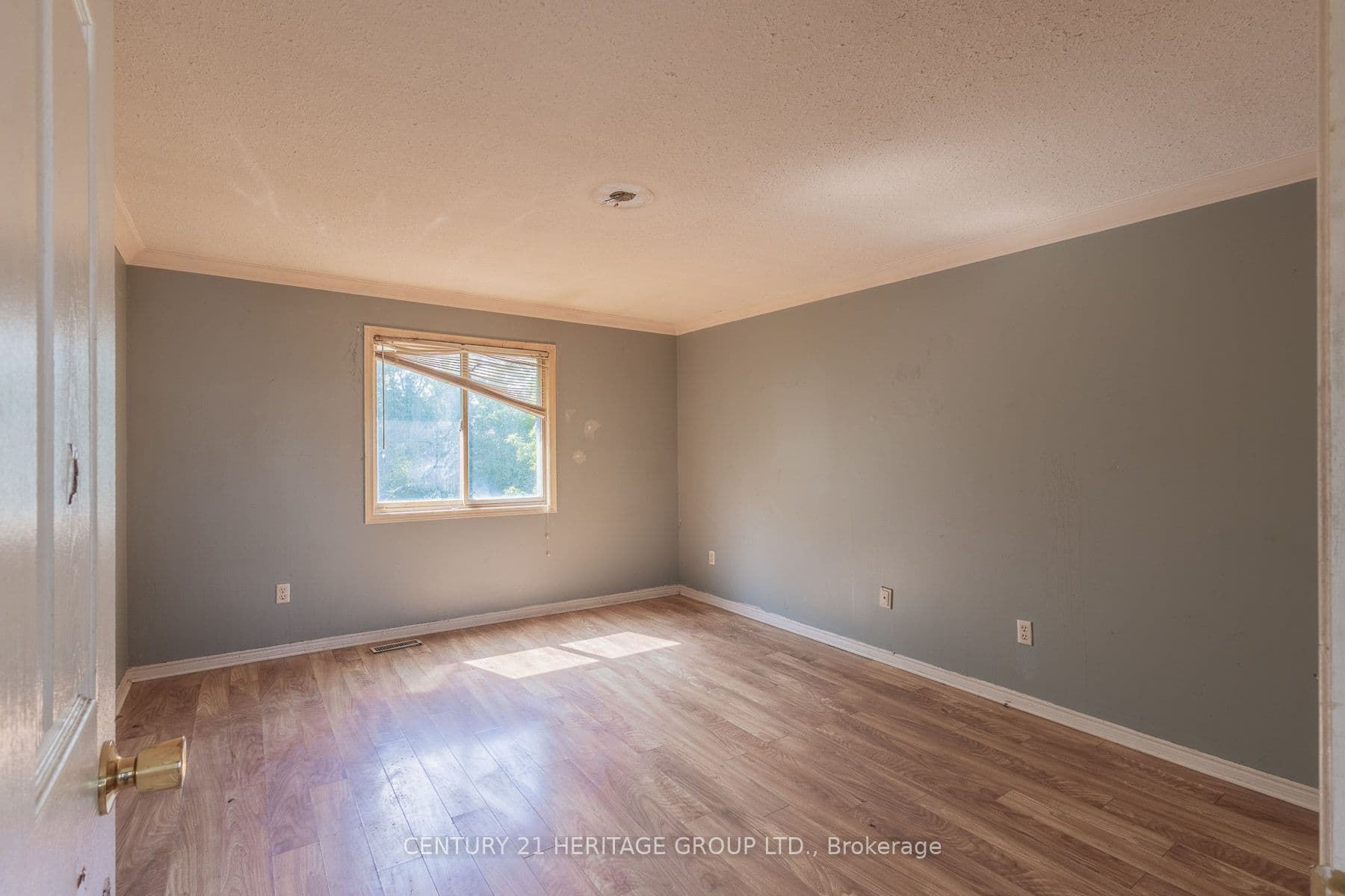 Listing 321061 Image