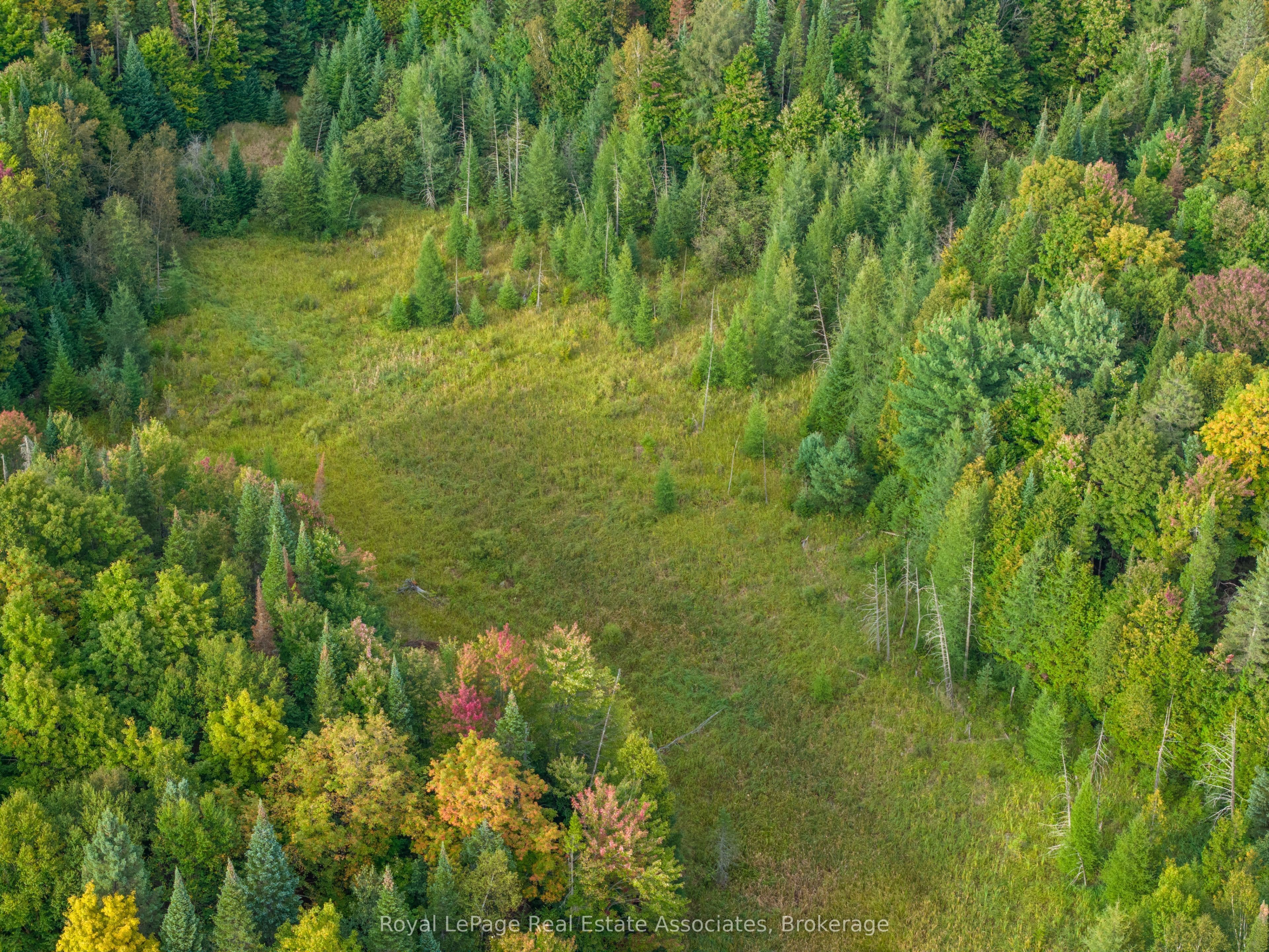 Listing 319449 Image