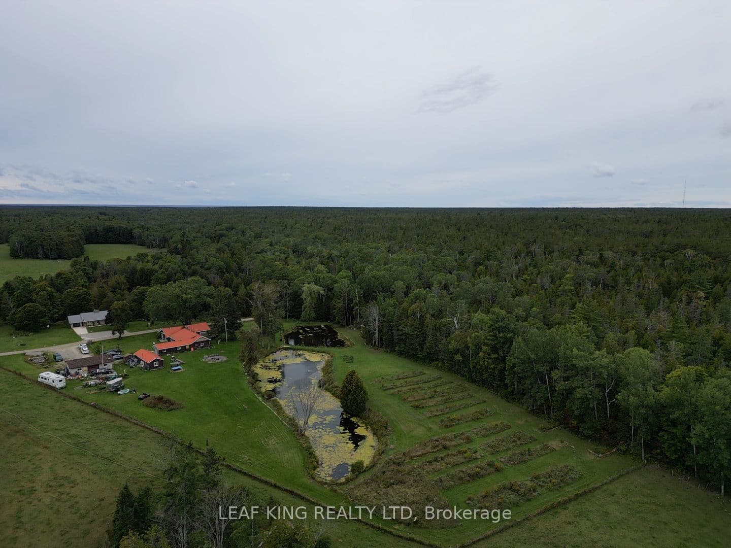 Listing 320262 Image