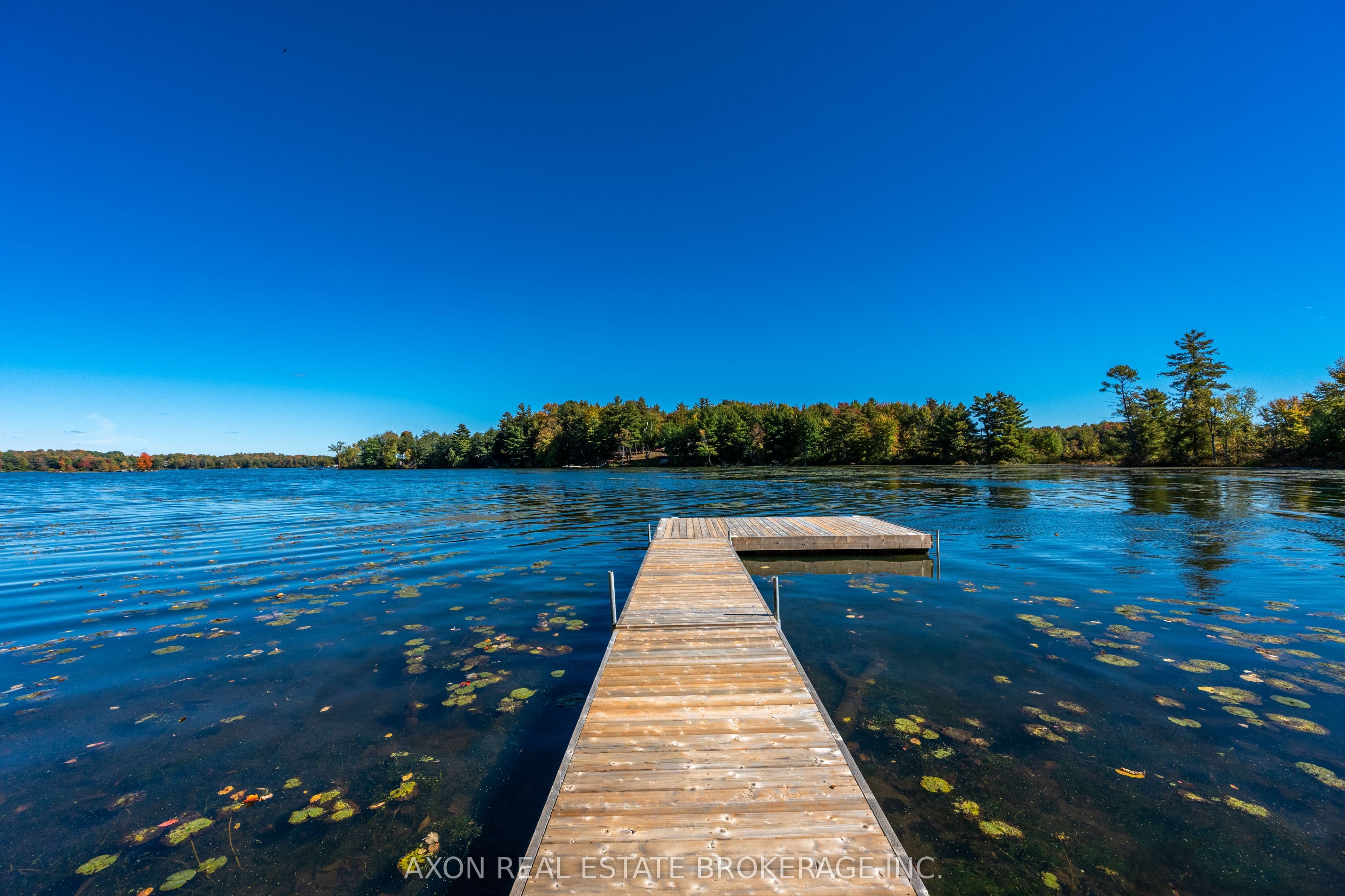 Listing 346224 Image