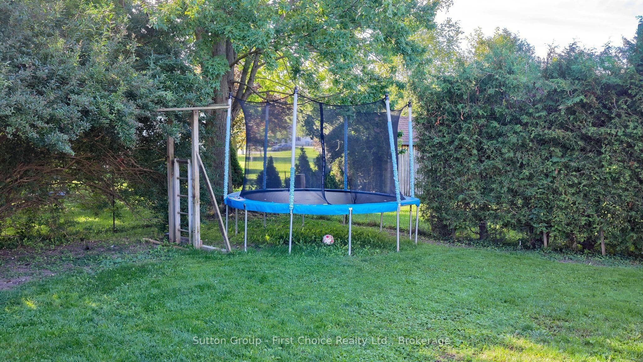 Listing 322616 Image