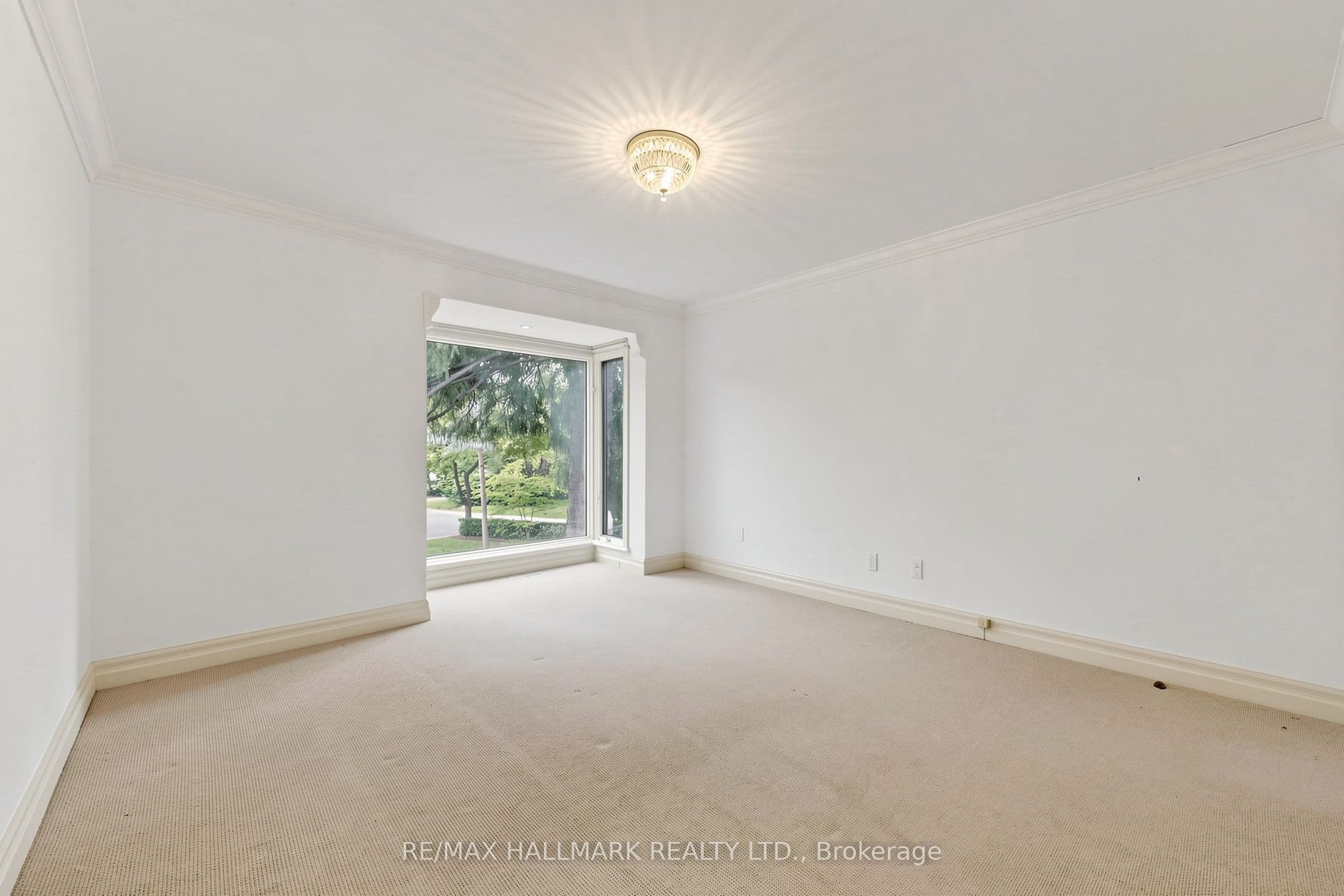 Listing 321952 Image