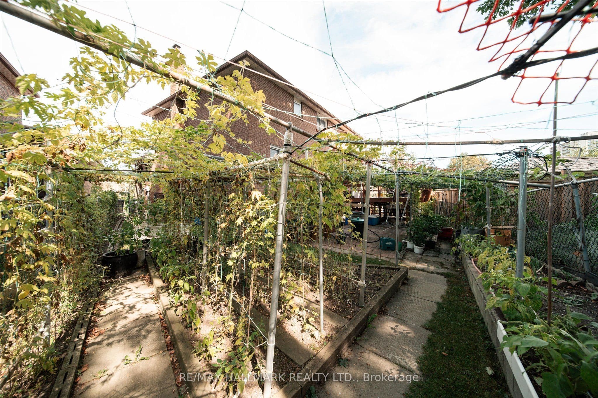 Listing 331764 Image