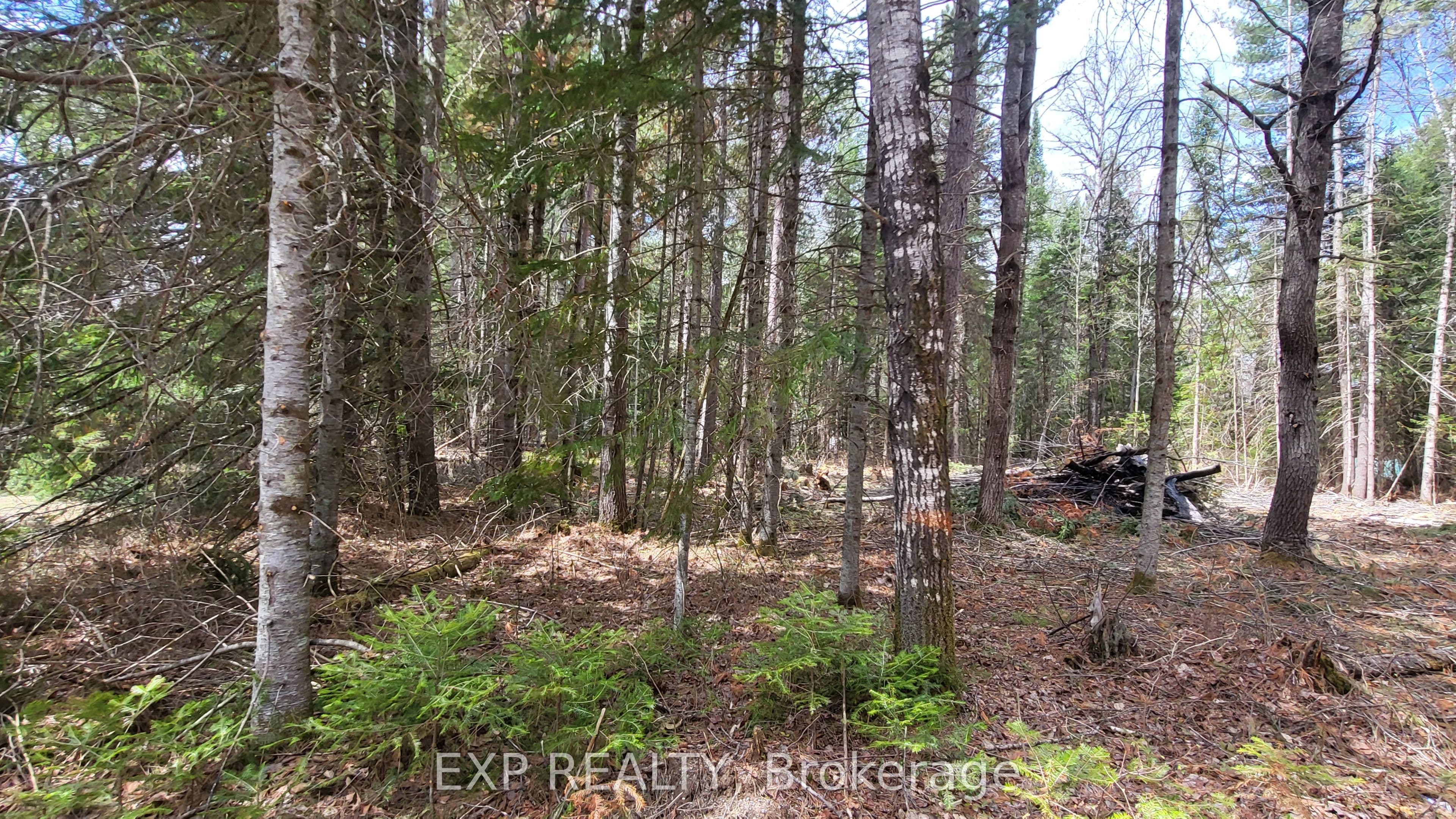 Listing 342425 Image