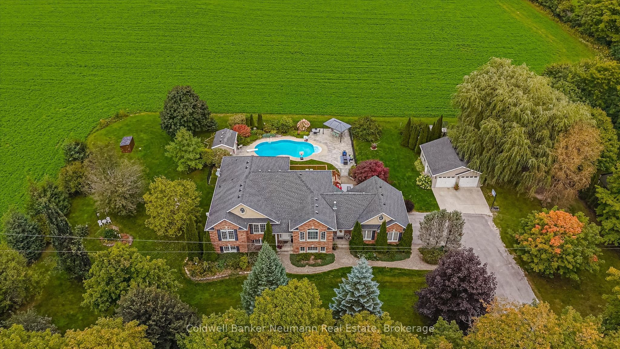 Main Property