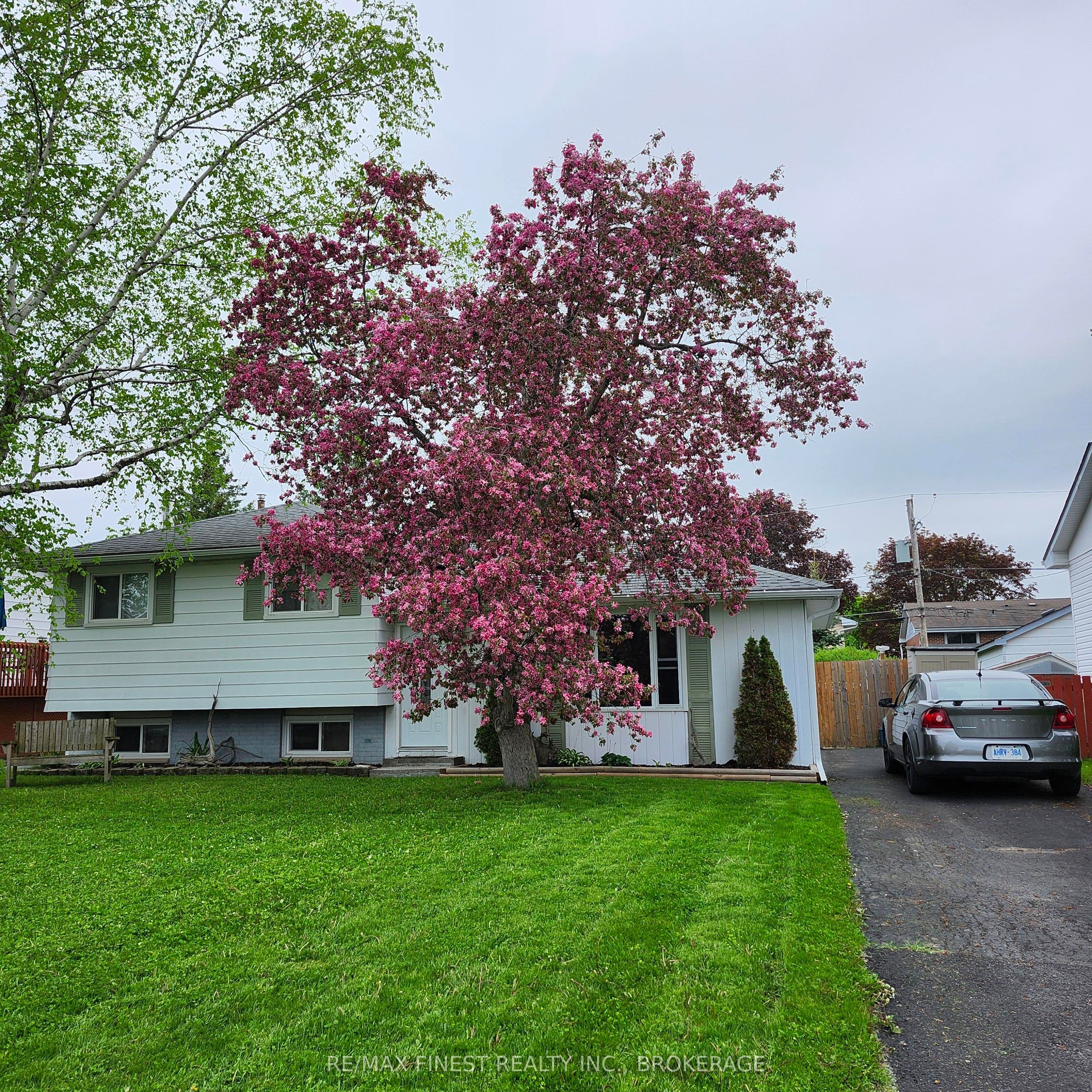Listing 328913 Image