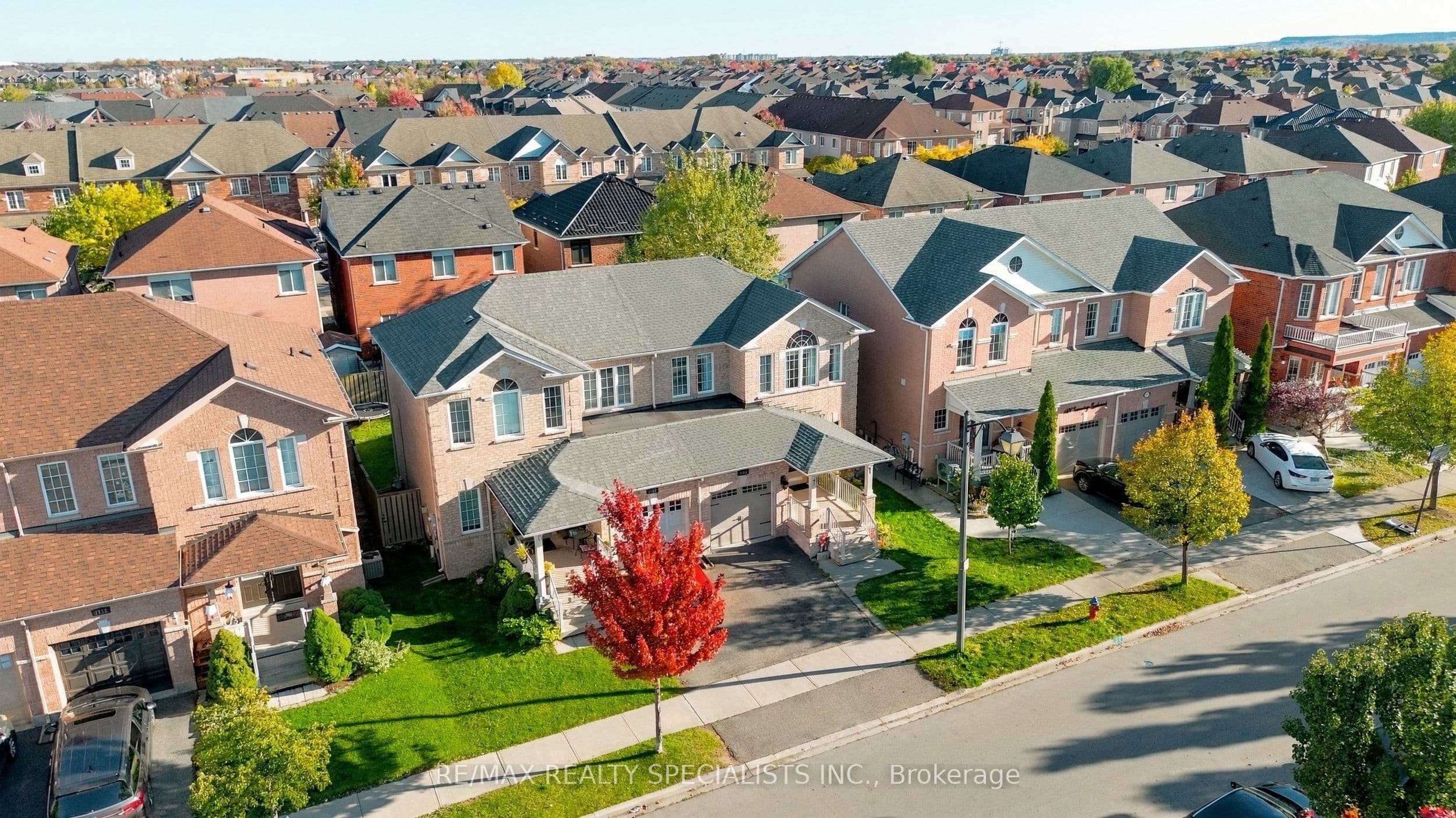 Main Property