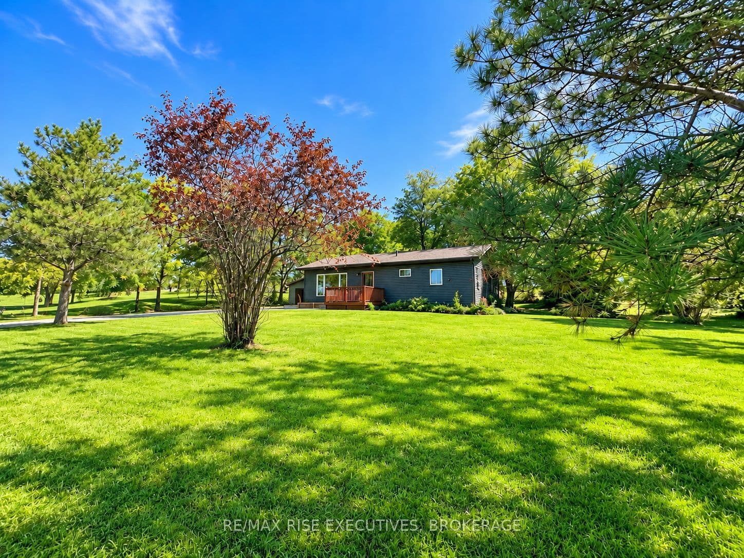 Listing 334821 Image