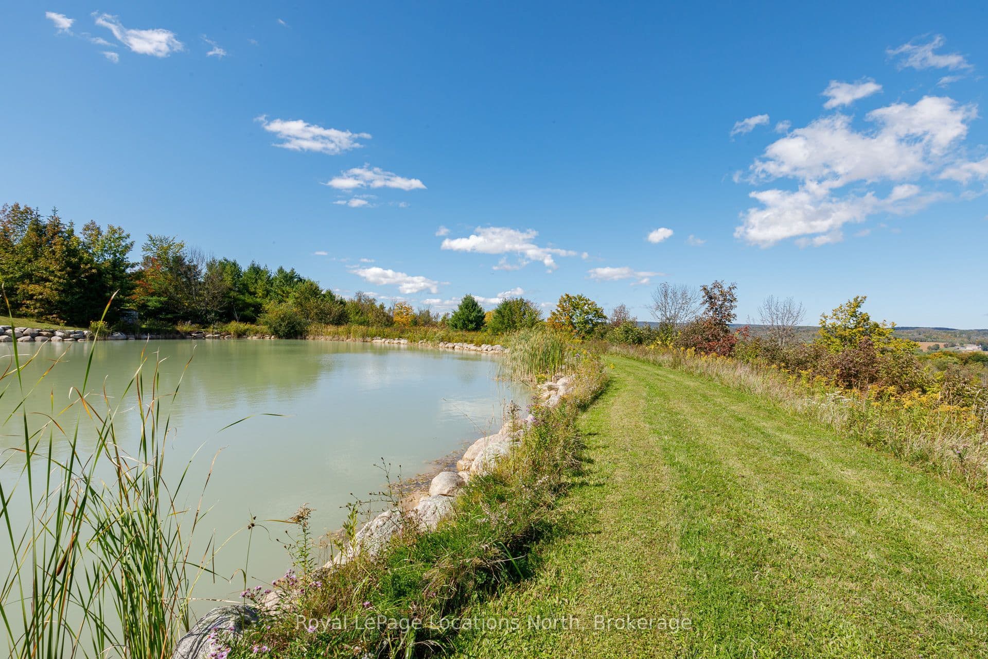 Listing 329835 Image