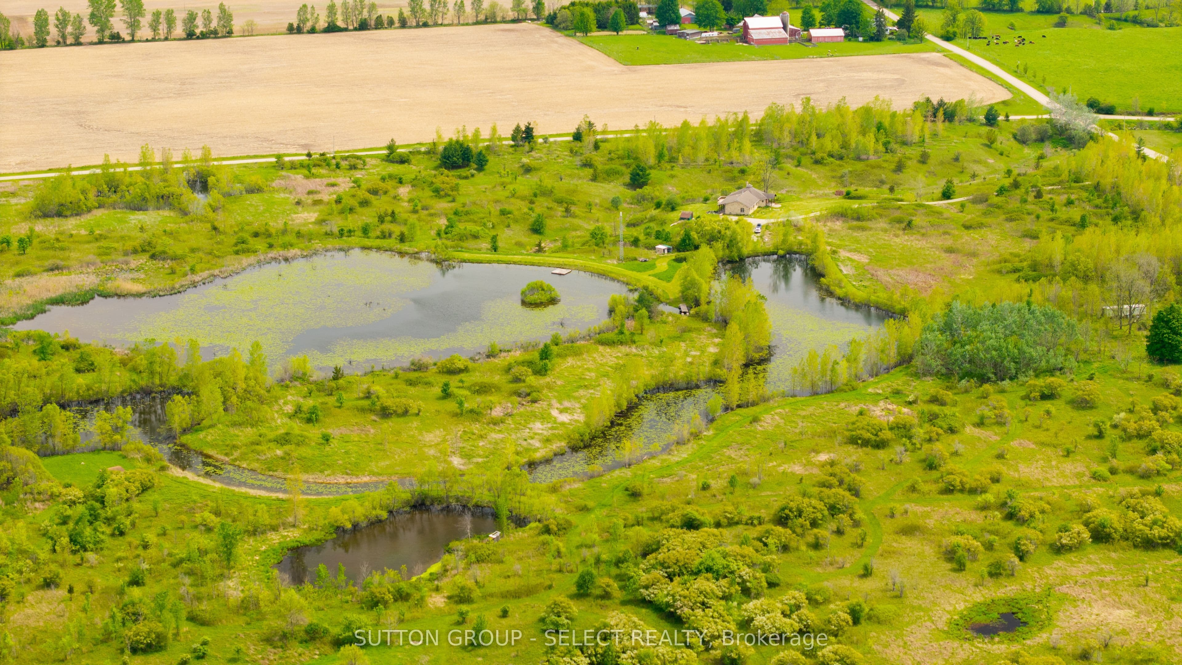 Listing 323339 Image