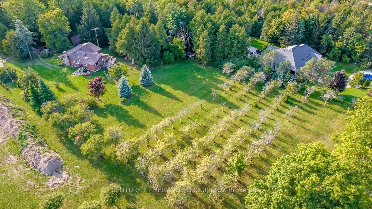 Listing 324847 Image