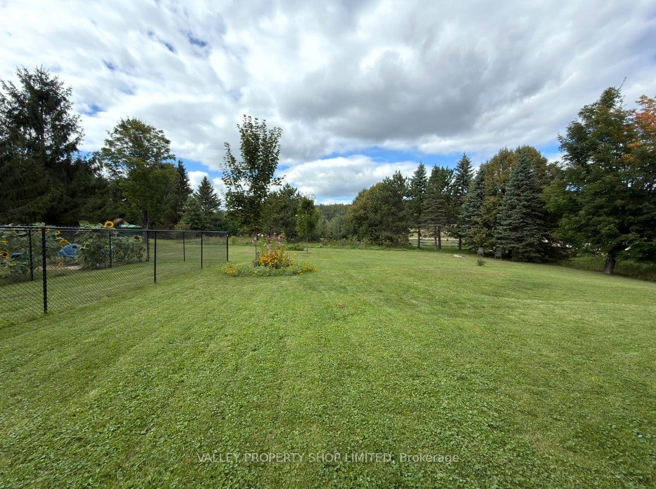 Listing 339047 Image