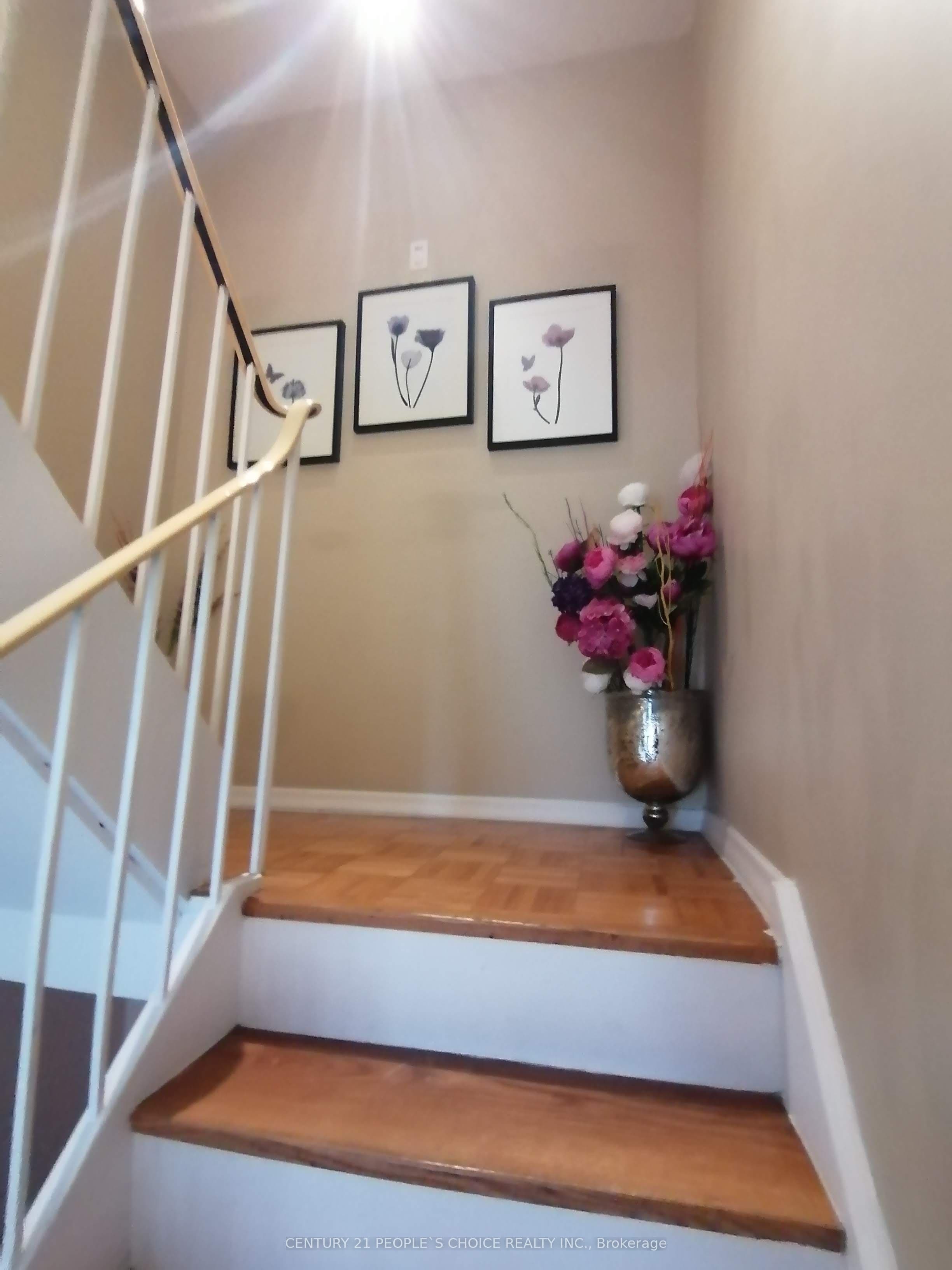 Listing 326636 Image