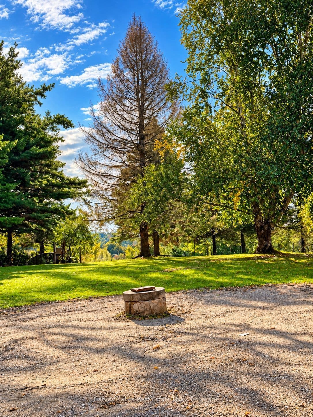 Listing 334822 Image