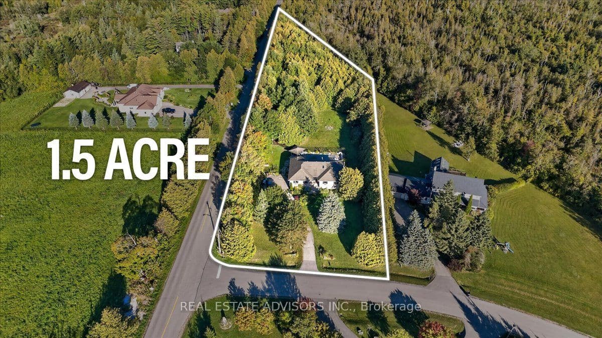 Listing 325319 Image