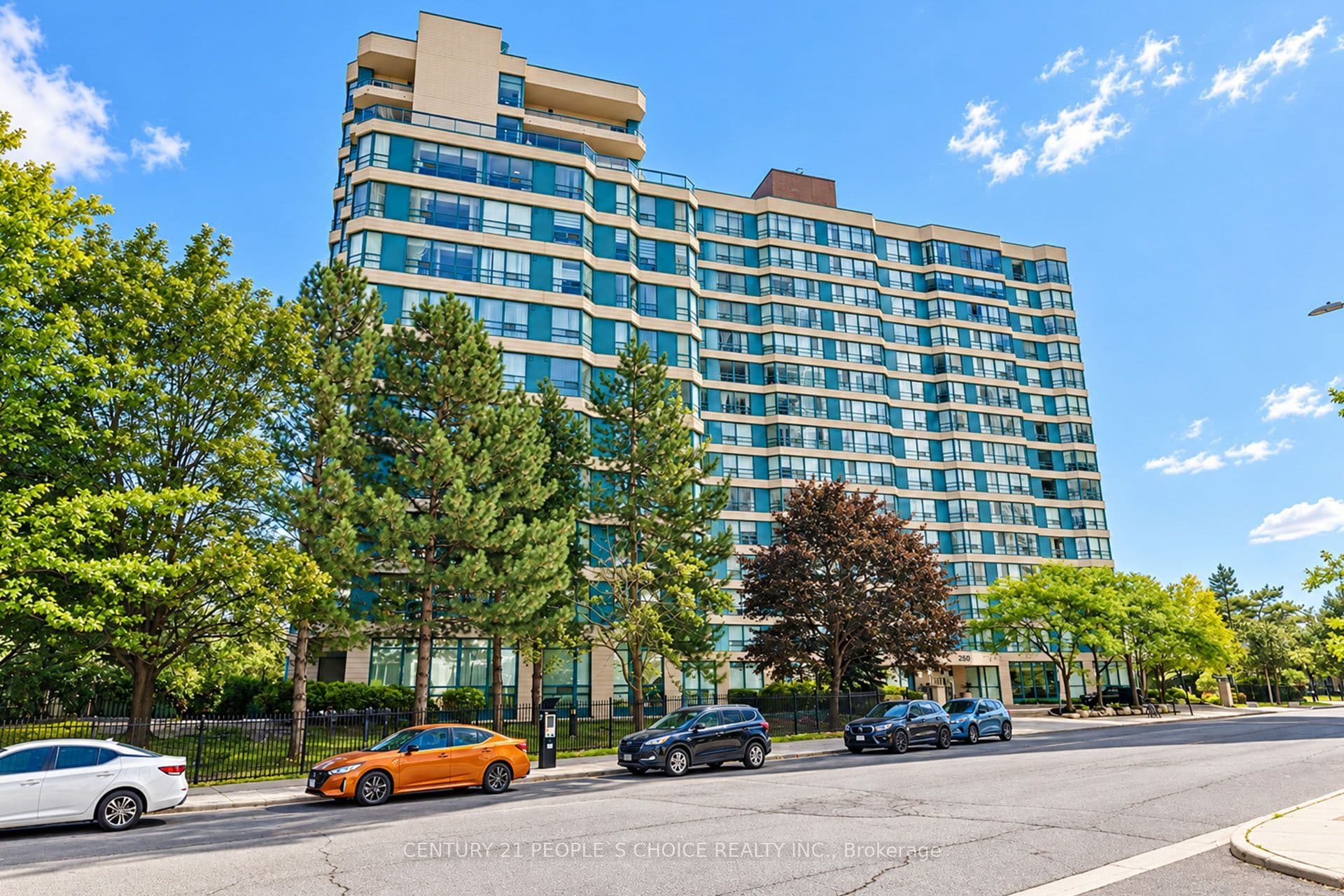 Main Property