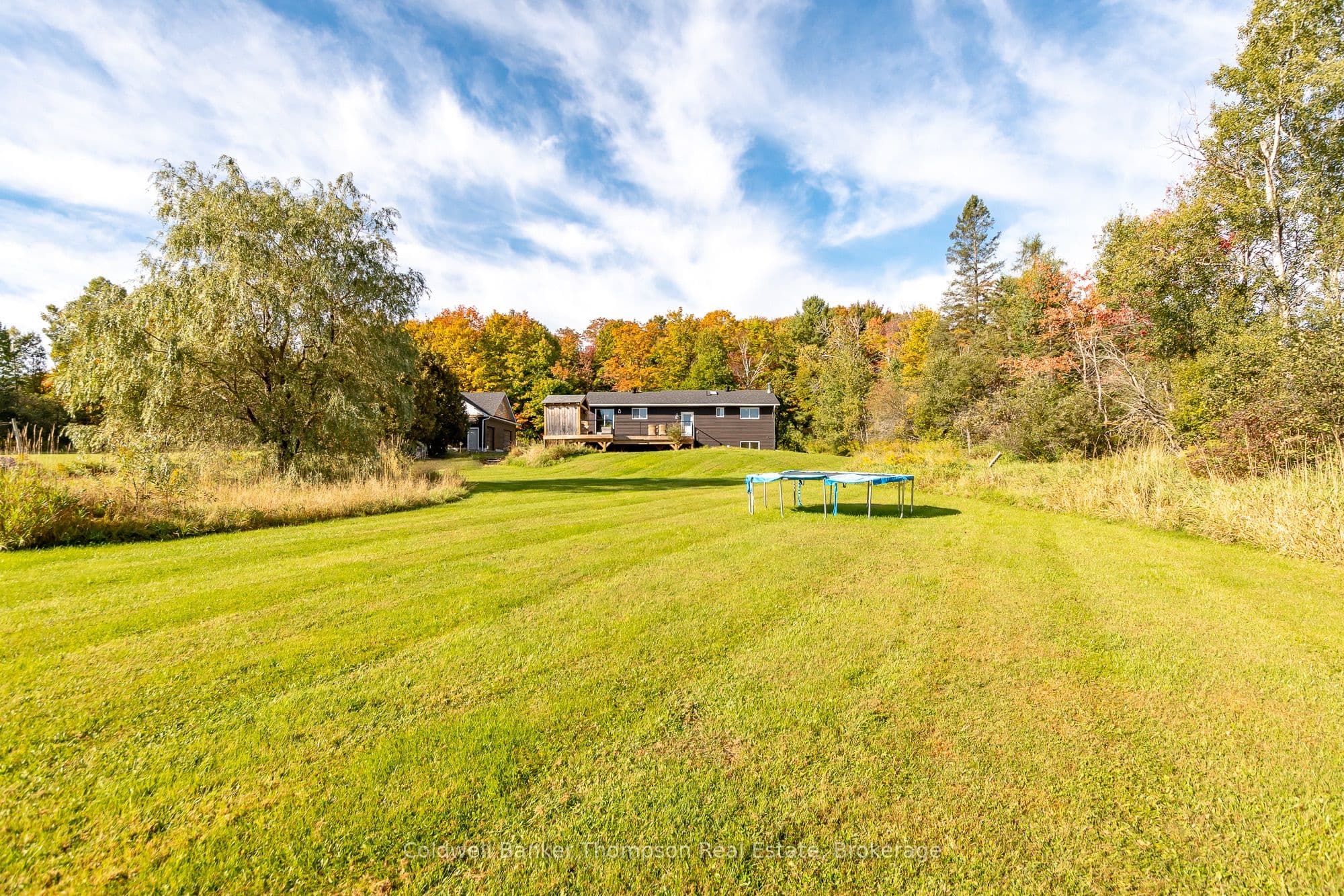 Listing 330621 Image