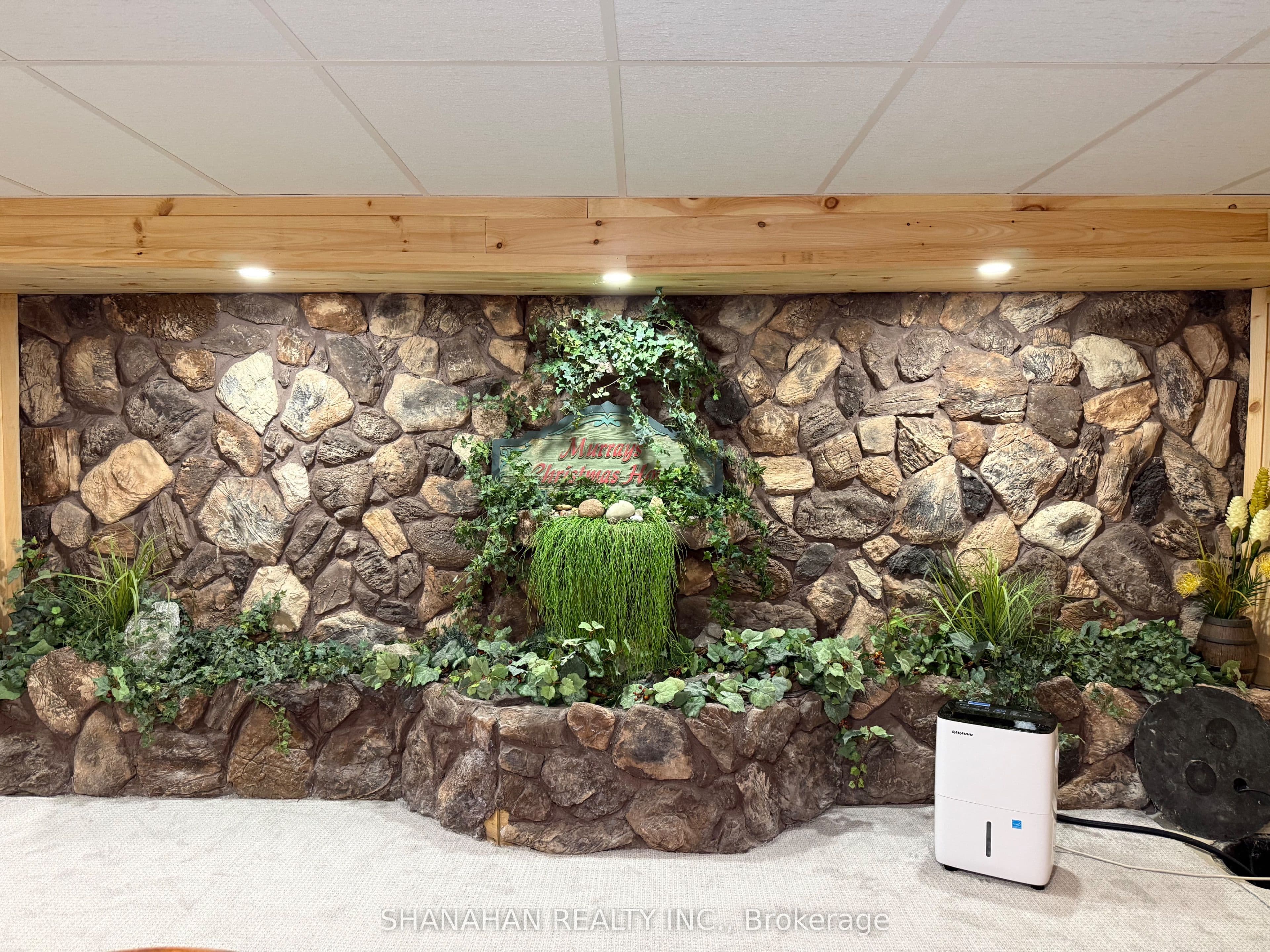 Listing 335619 Image
