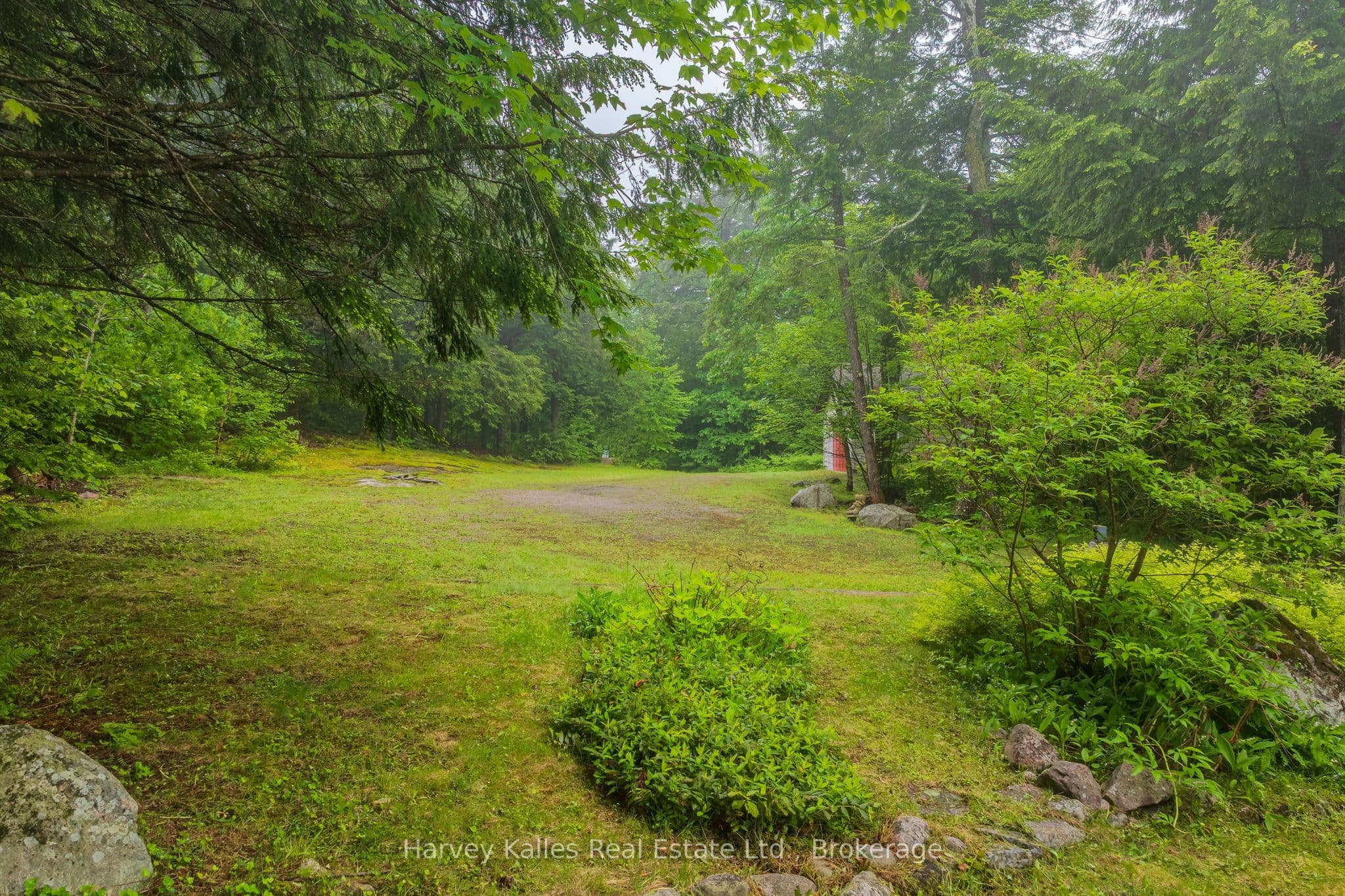 Listing 336439 Image