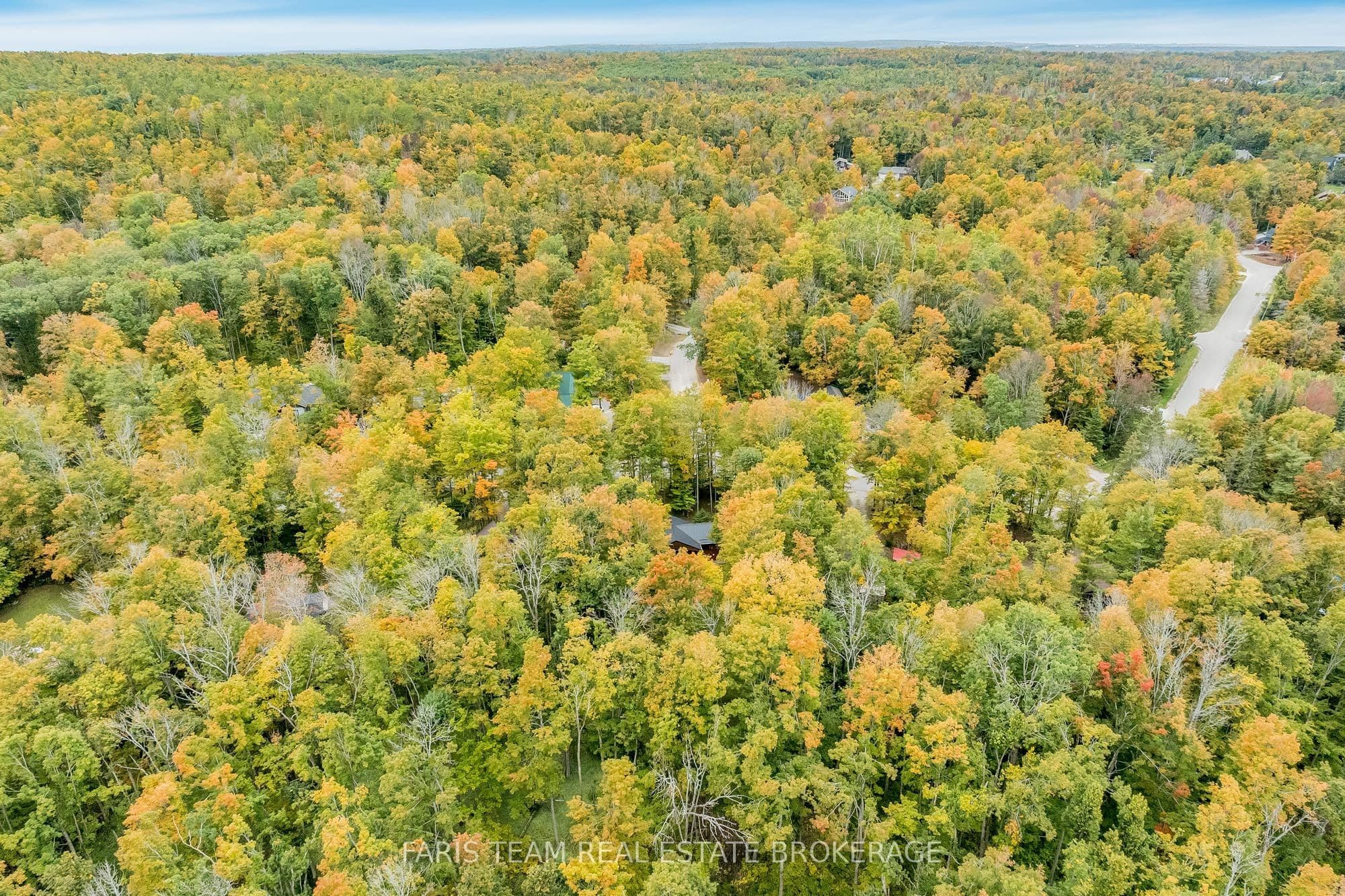 Listing 339014 Image