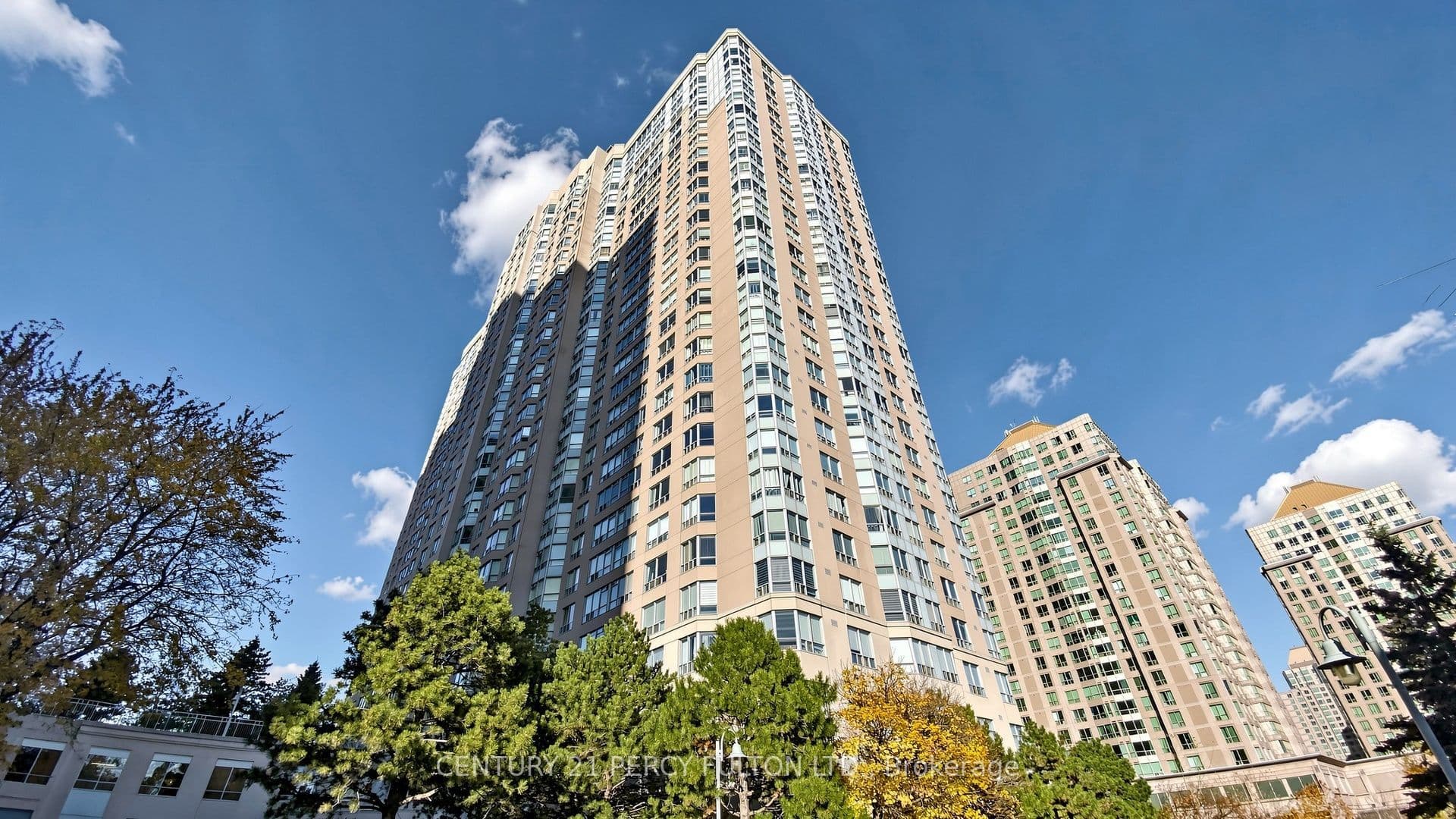 Main Property