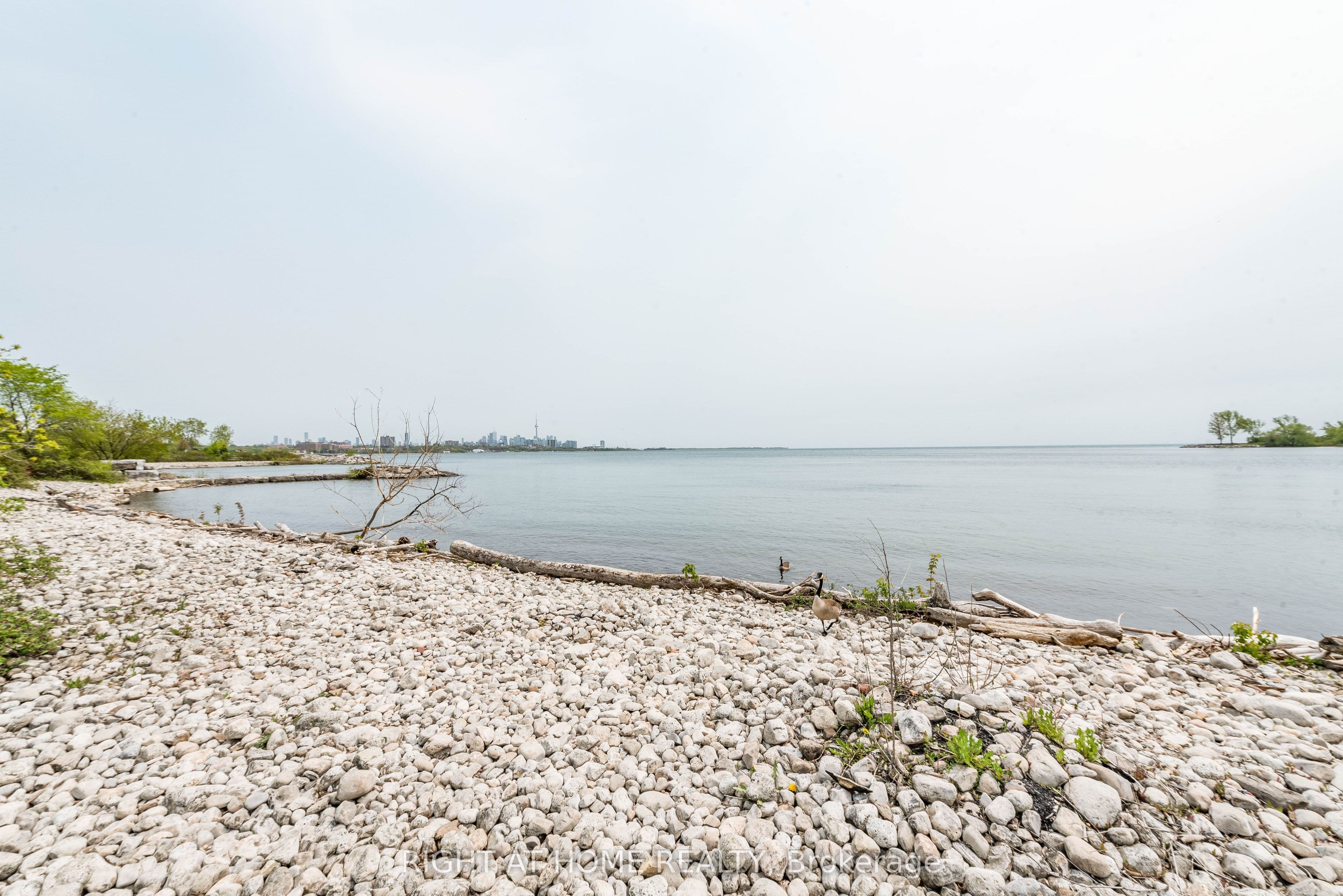 Listing 335311 Image