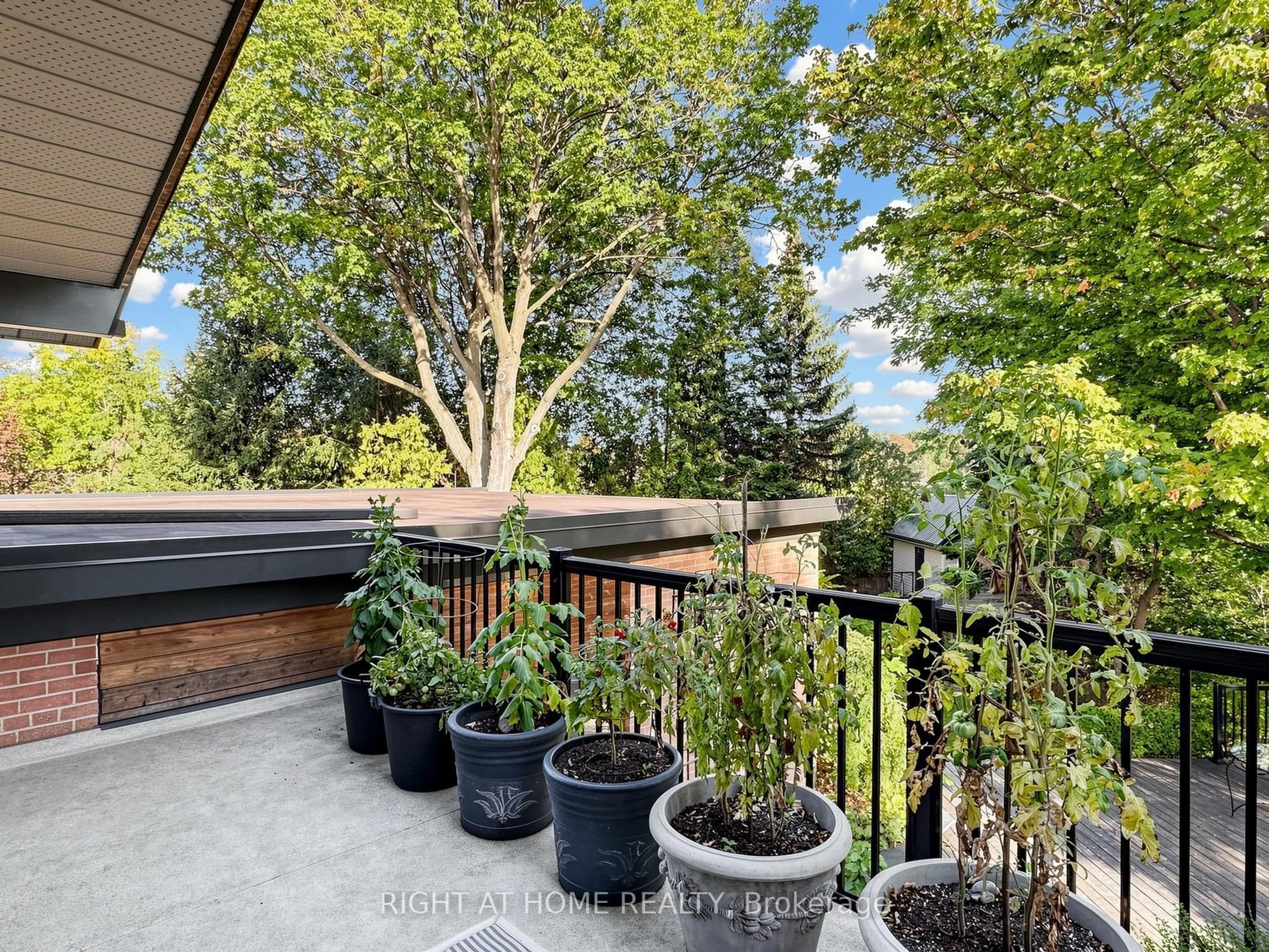 Listing 333035 Image