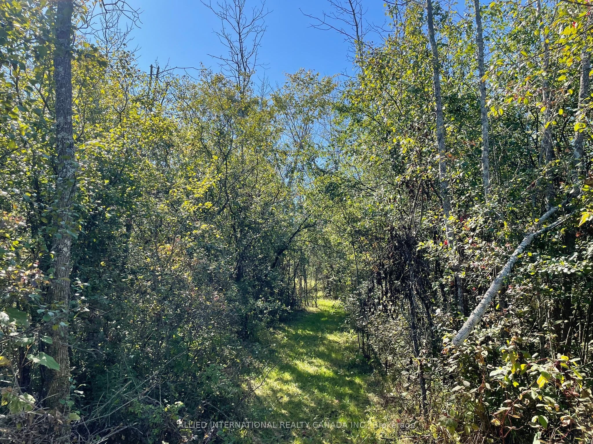 Listing 352852 Image