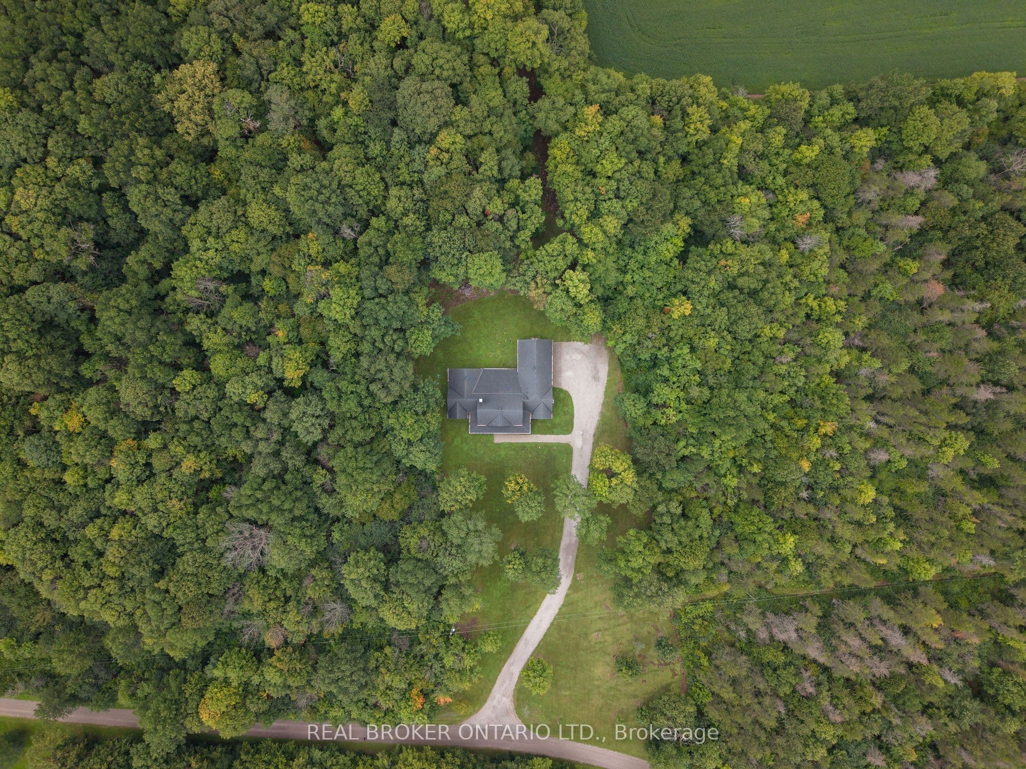 Listing 334296 Image