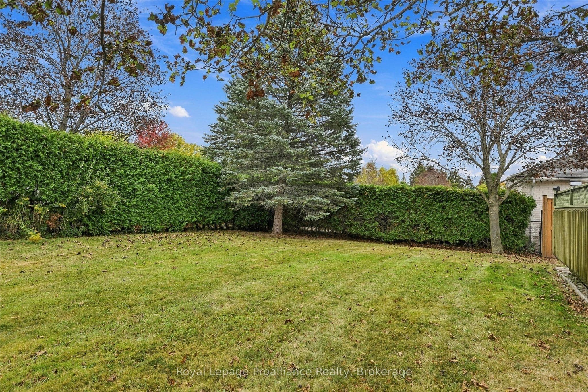 Listing 339127 Image
