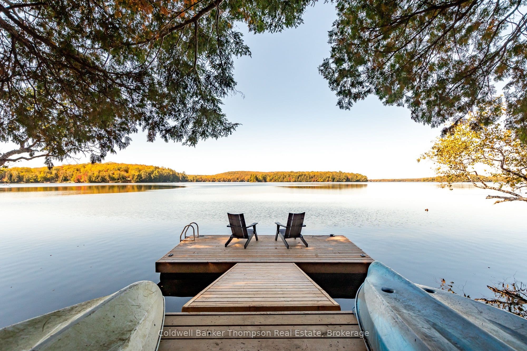 Listing 334881 Image