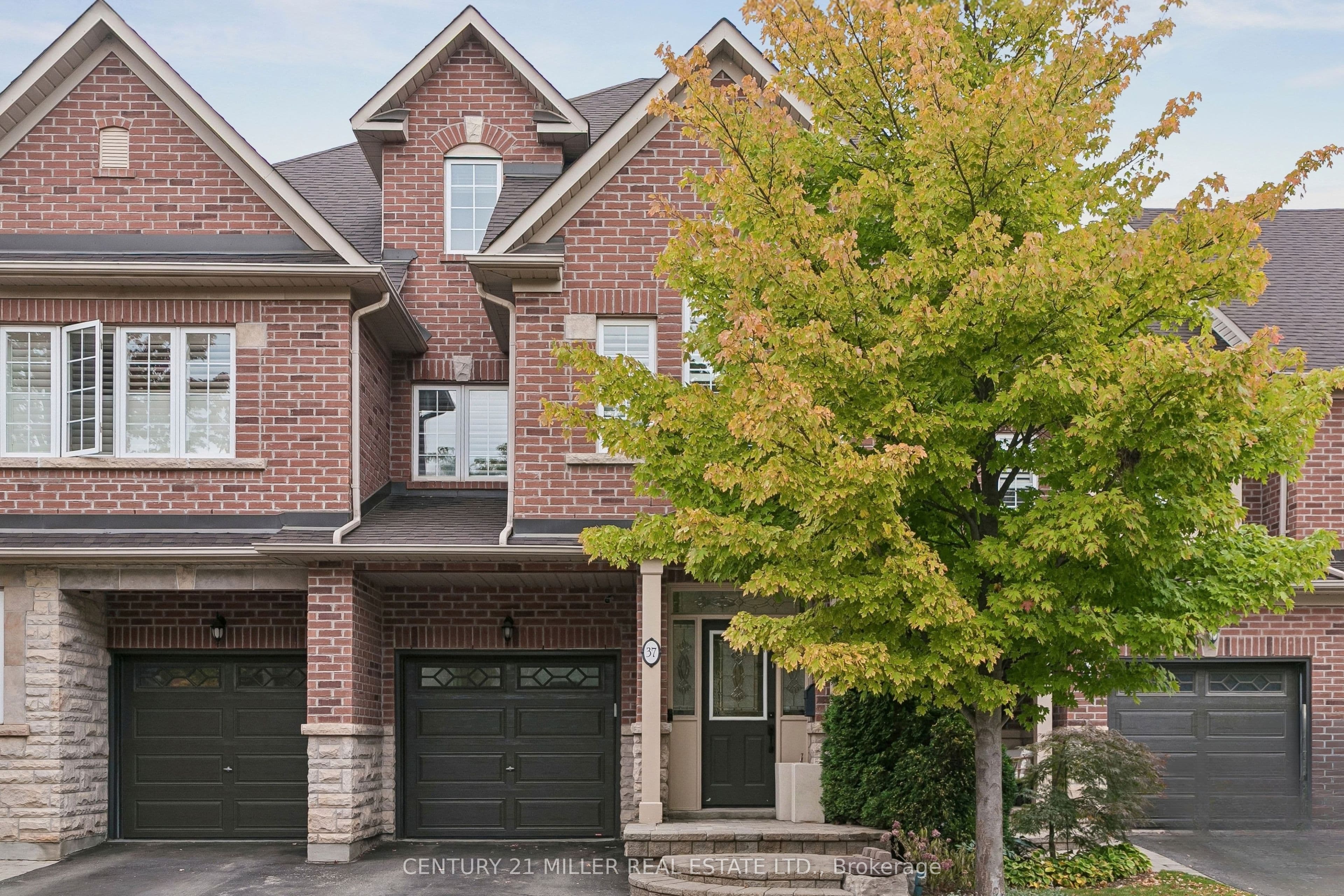 Listing 341483 Image